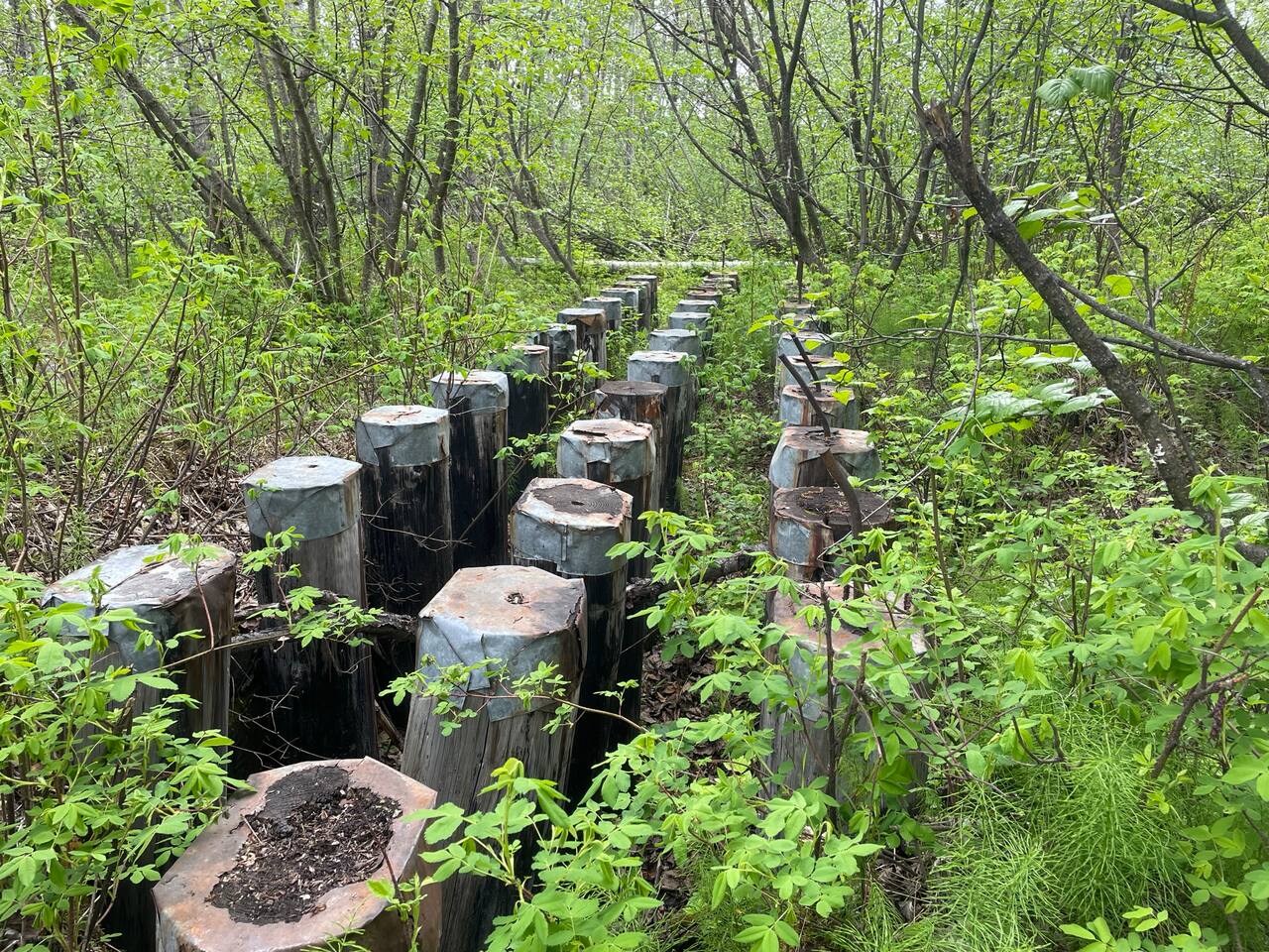 Nearby hiking trail - Palmer Rail Trail