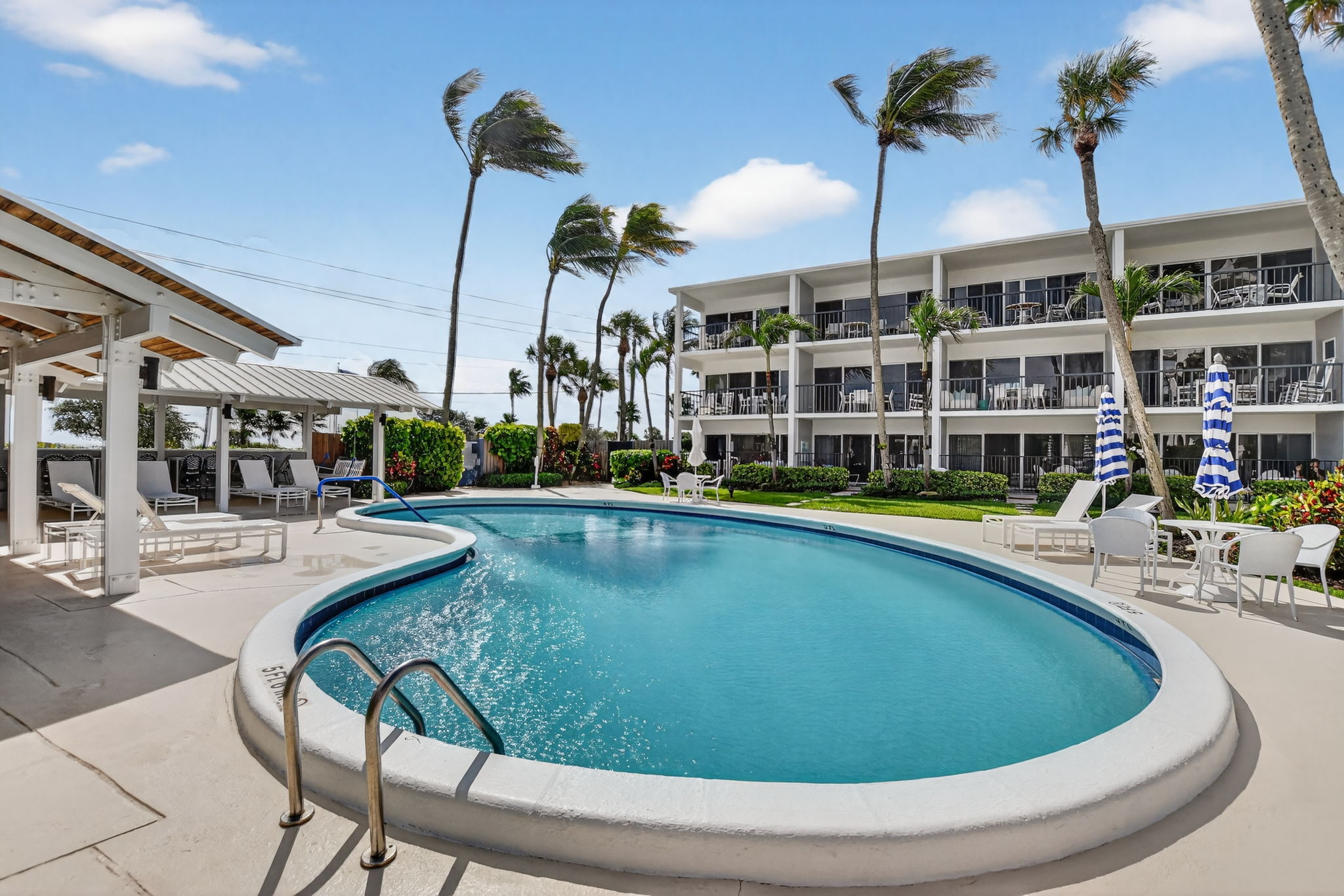 Heated pool tropical setting