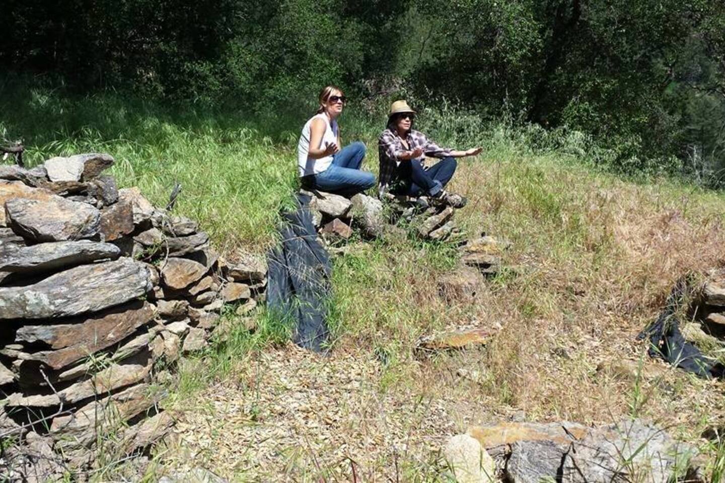 Meditation by Nates house