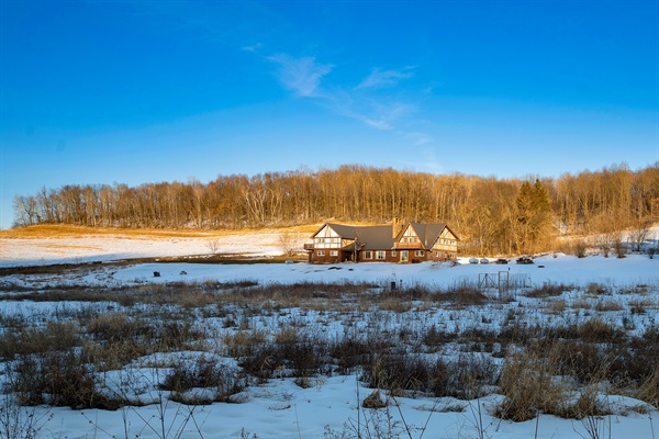 The wildflower field in early spring.