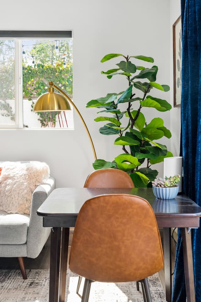 Cozy corner with modern elegance—where natural light, greenery, and warm tones create the perfect inviting space.