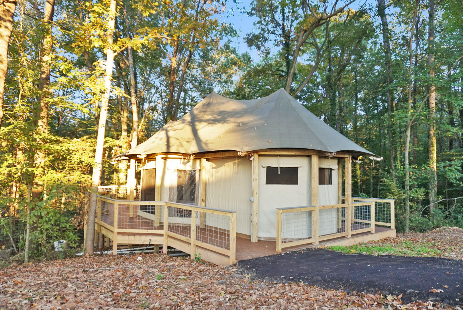 Glamping Retreat: Embrace nature in this unique yurt, surrounded by serene woodland beauty!