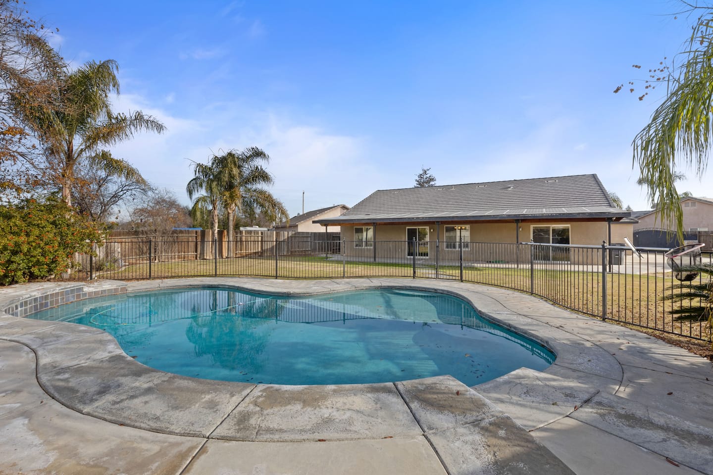 back yard