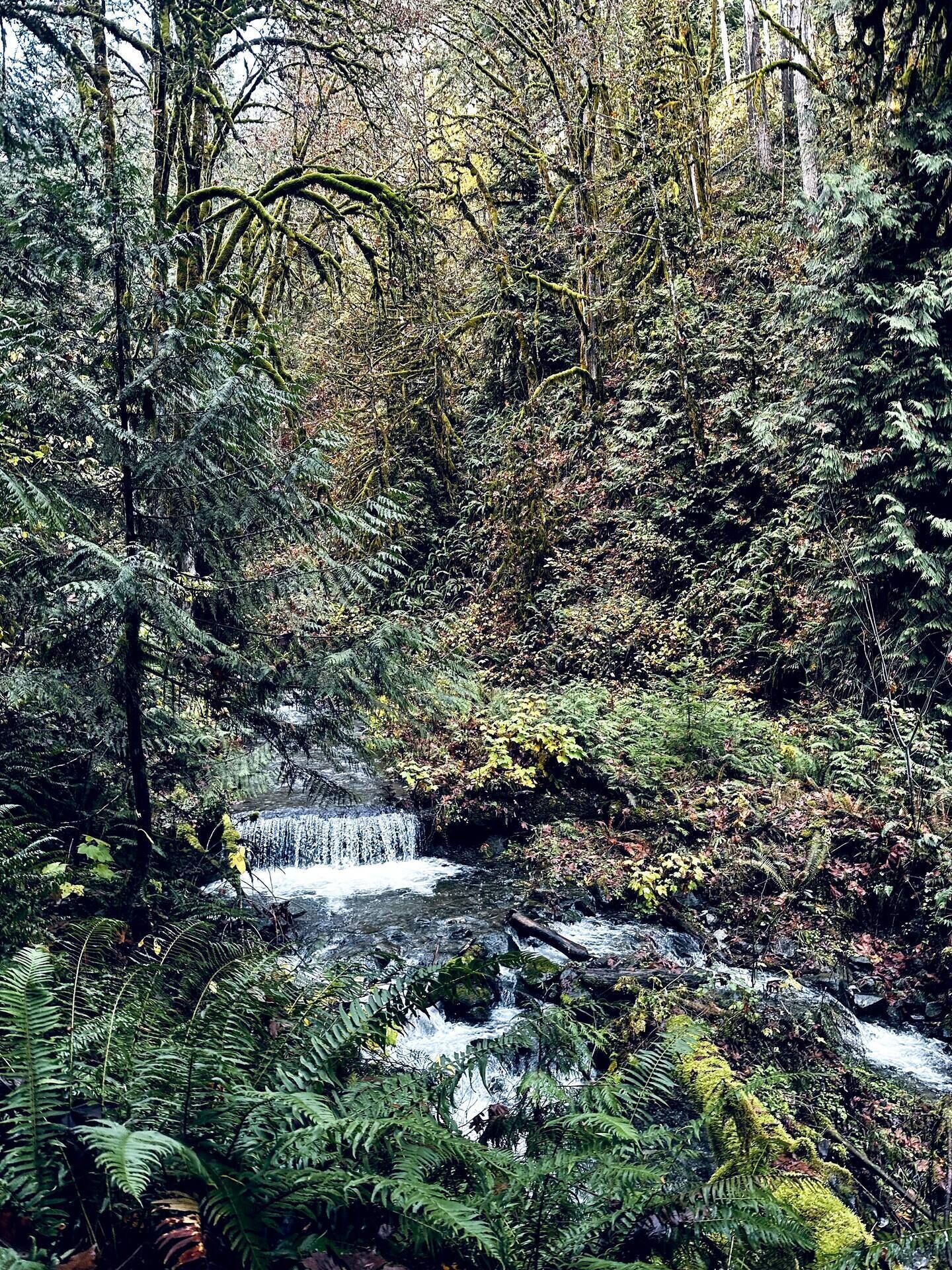 During the fall to spring, relax next to a small waterfall 1 minute from cabin