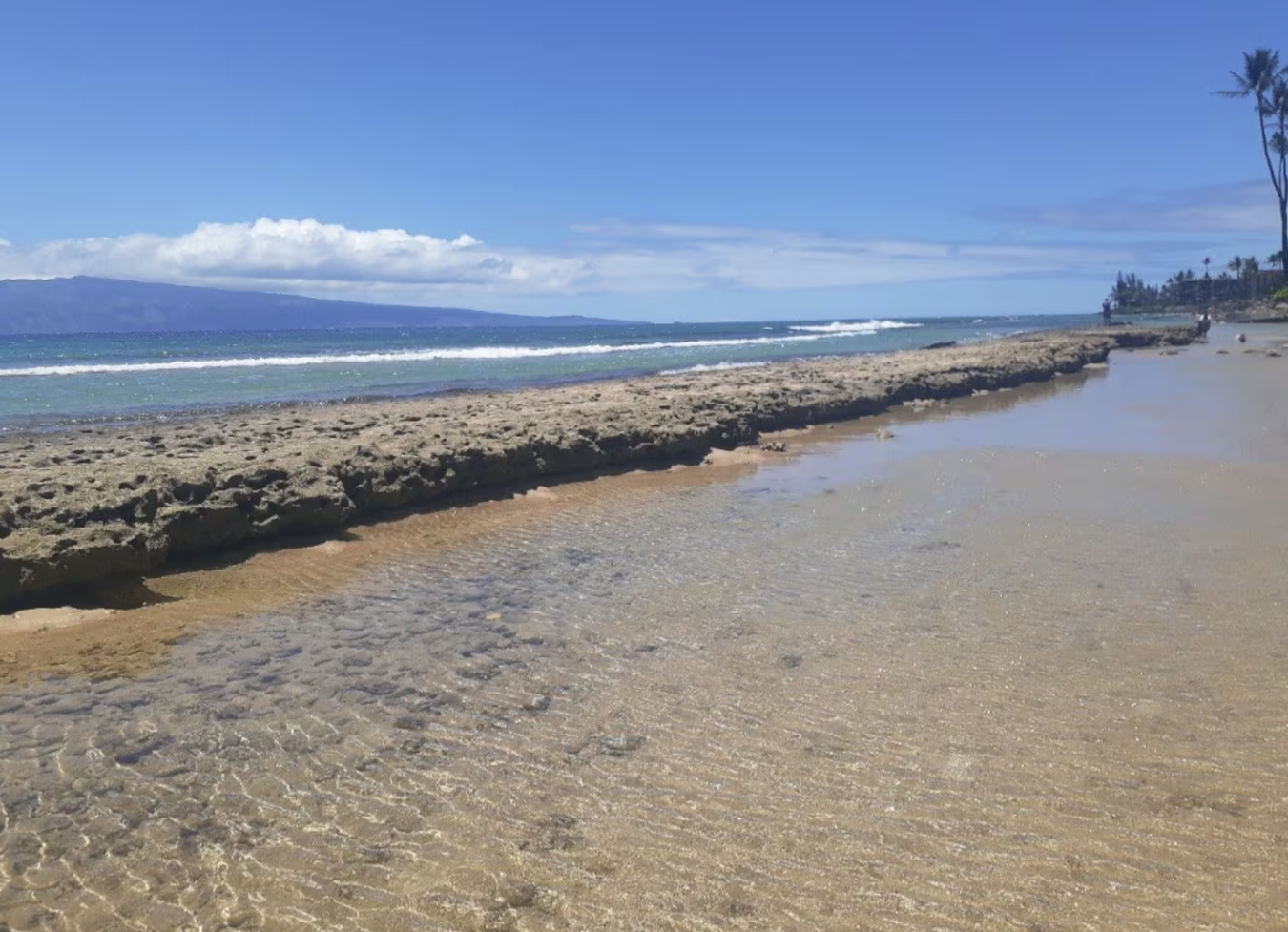 Neighborhood beach park and snorkeling
