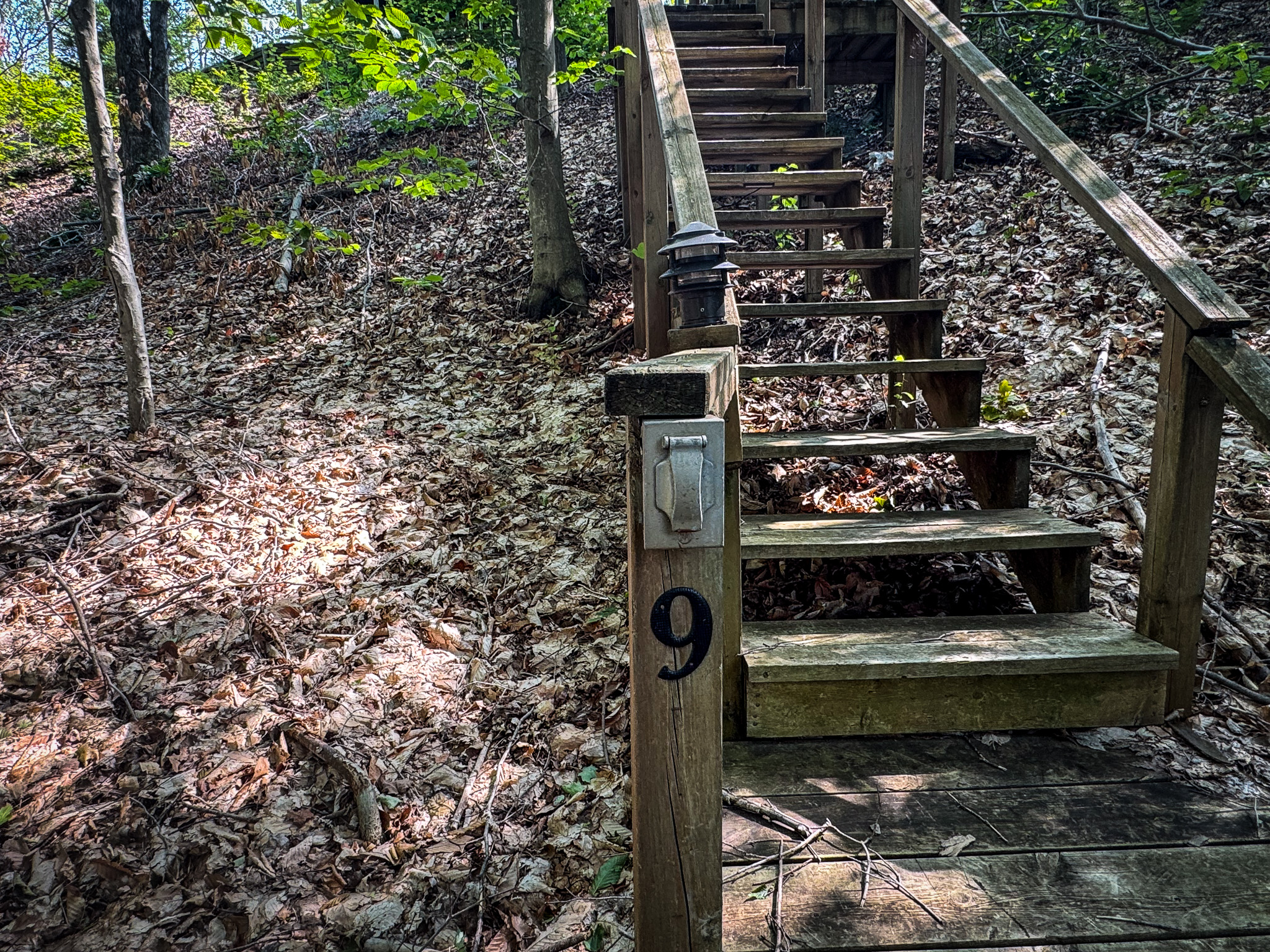 Stairs to the unit from the main association road (About 45)