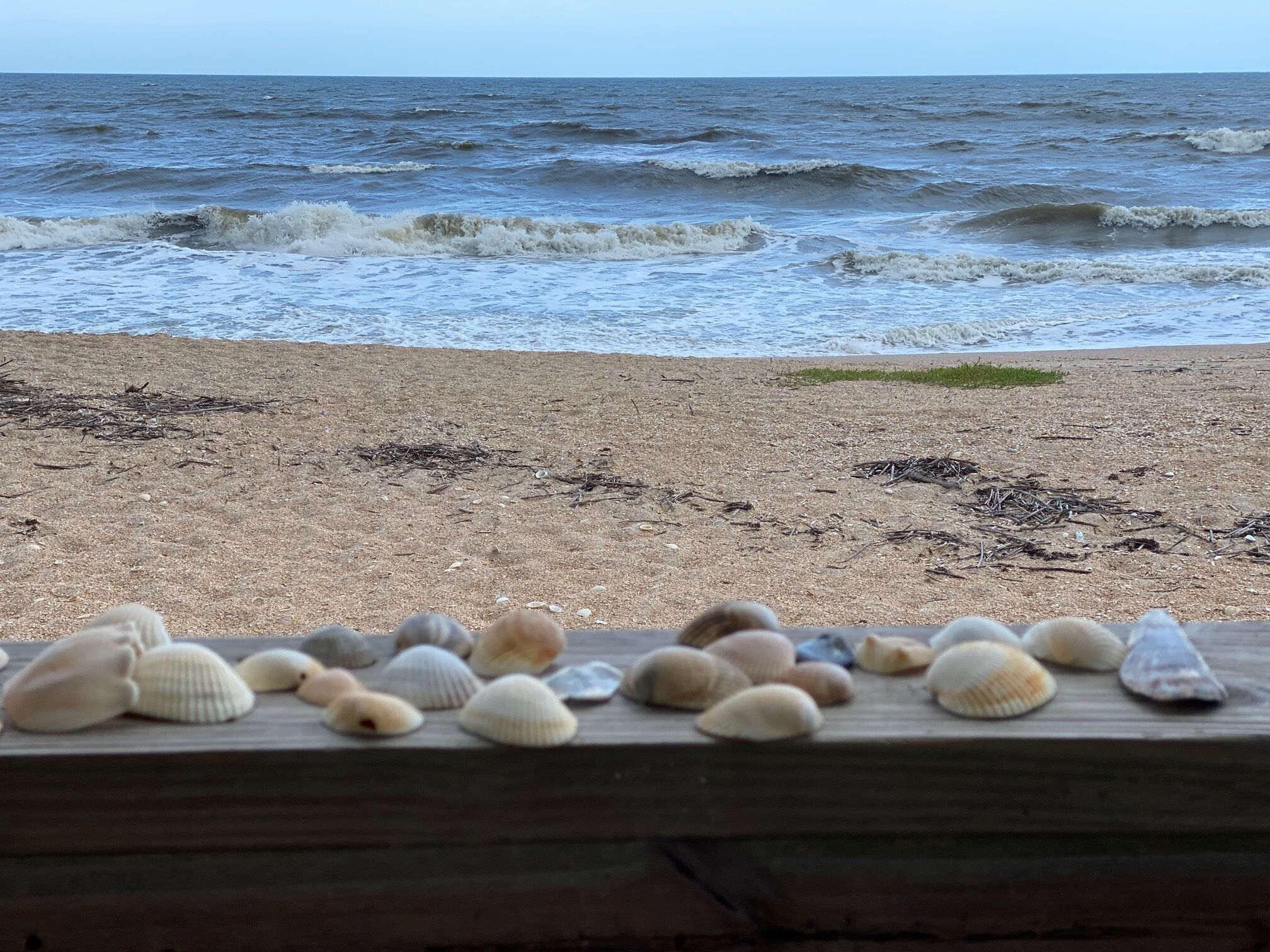 Beach Life