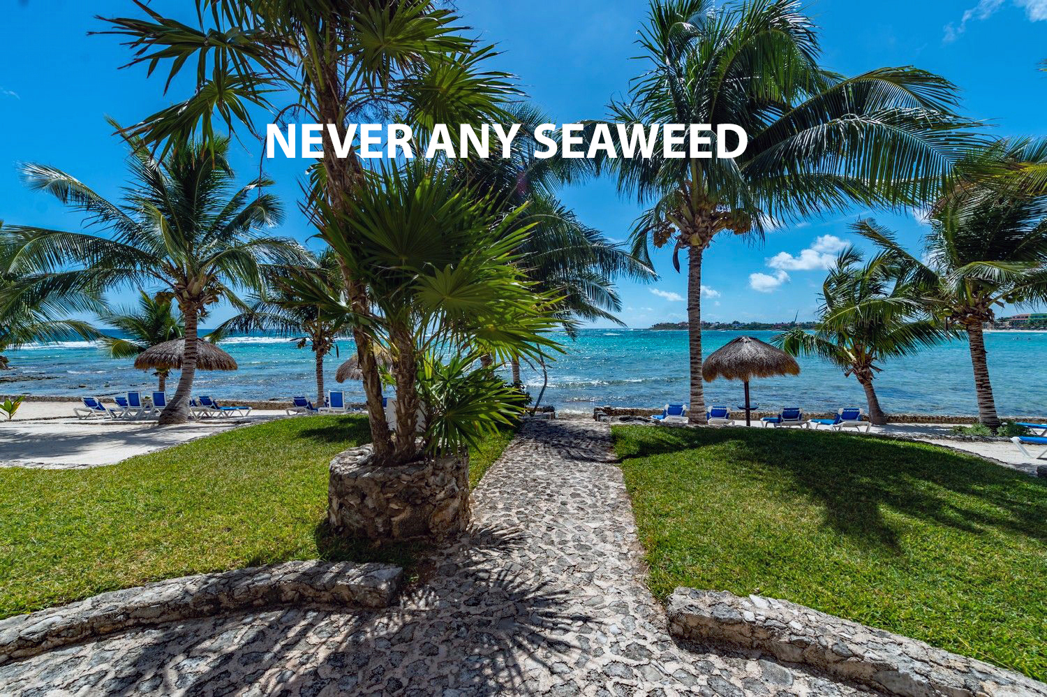 Luxury Spacious Poolside Villa, 30 steps to Beach! 4