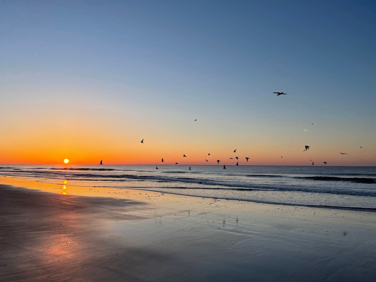 Breathtaking sunrises.