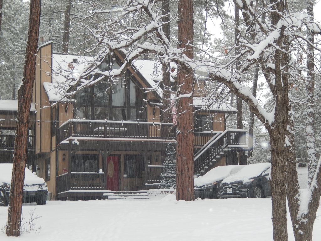 We recently had a snow fall covering the Chalet.  