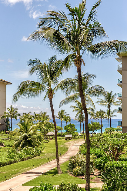 A view of the ocean from the lanai 