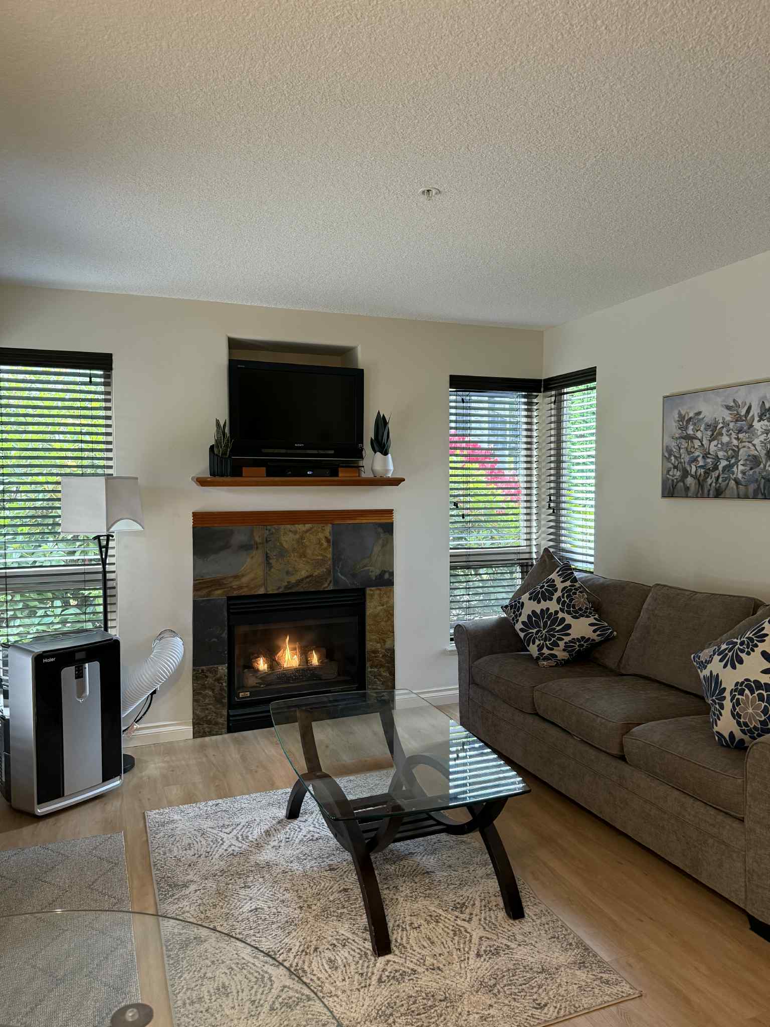 Unit B  - also boasts AC unit and natural gas fireplace.