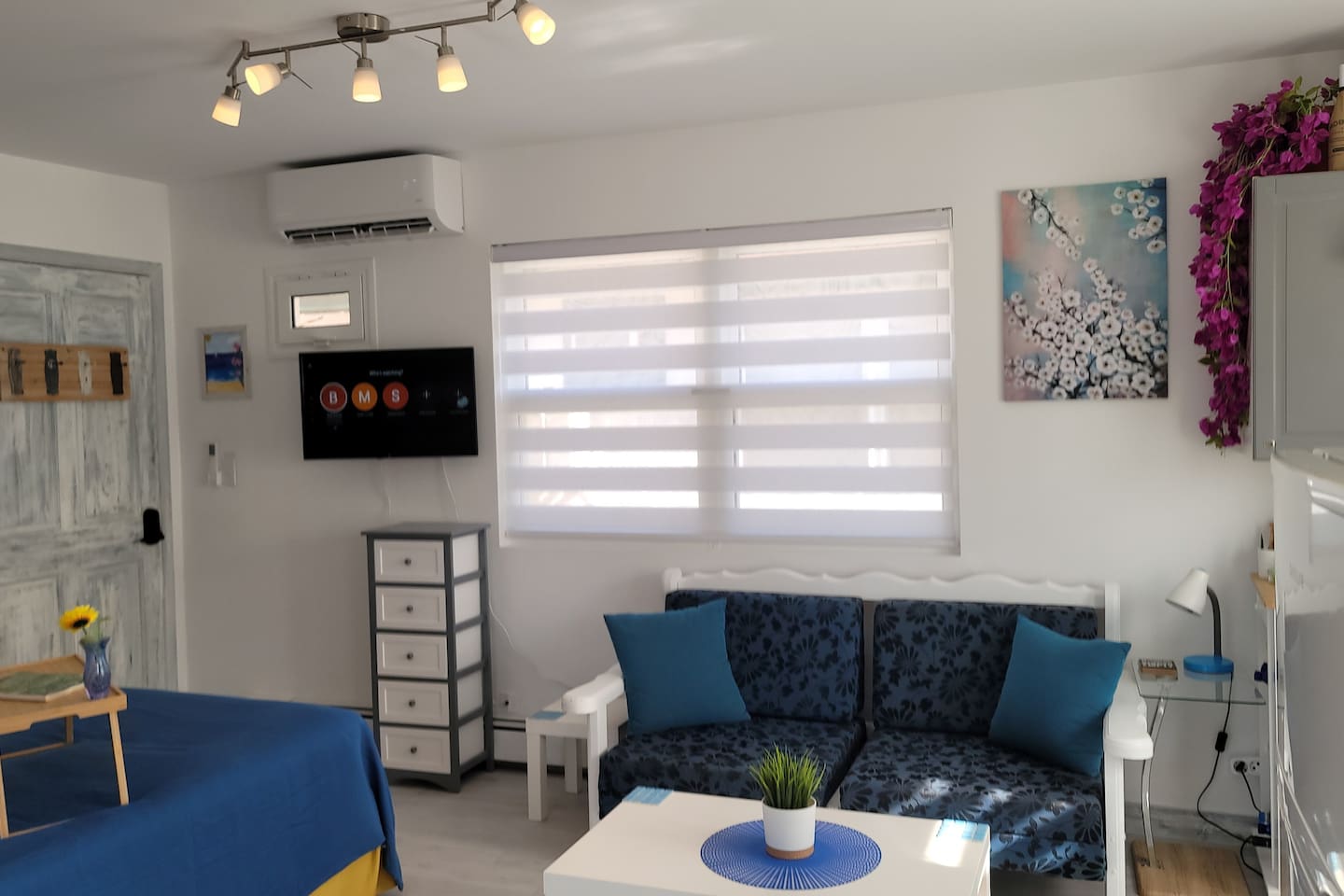 Flat screen TV with apps, sofa converts into 2 single beds