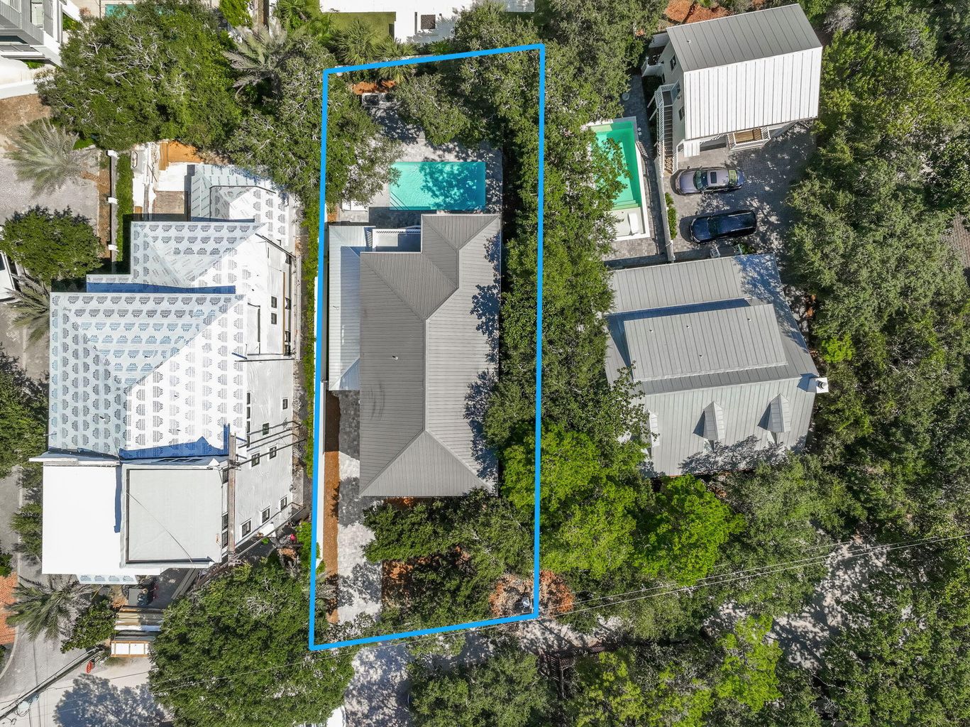 Aerial shot showing the dense foliage and large backyard with pool.