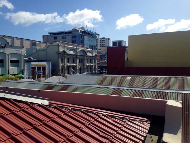 View from Balcony - Courtenay Place
