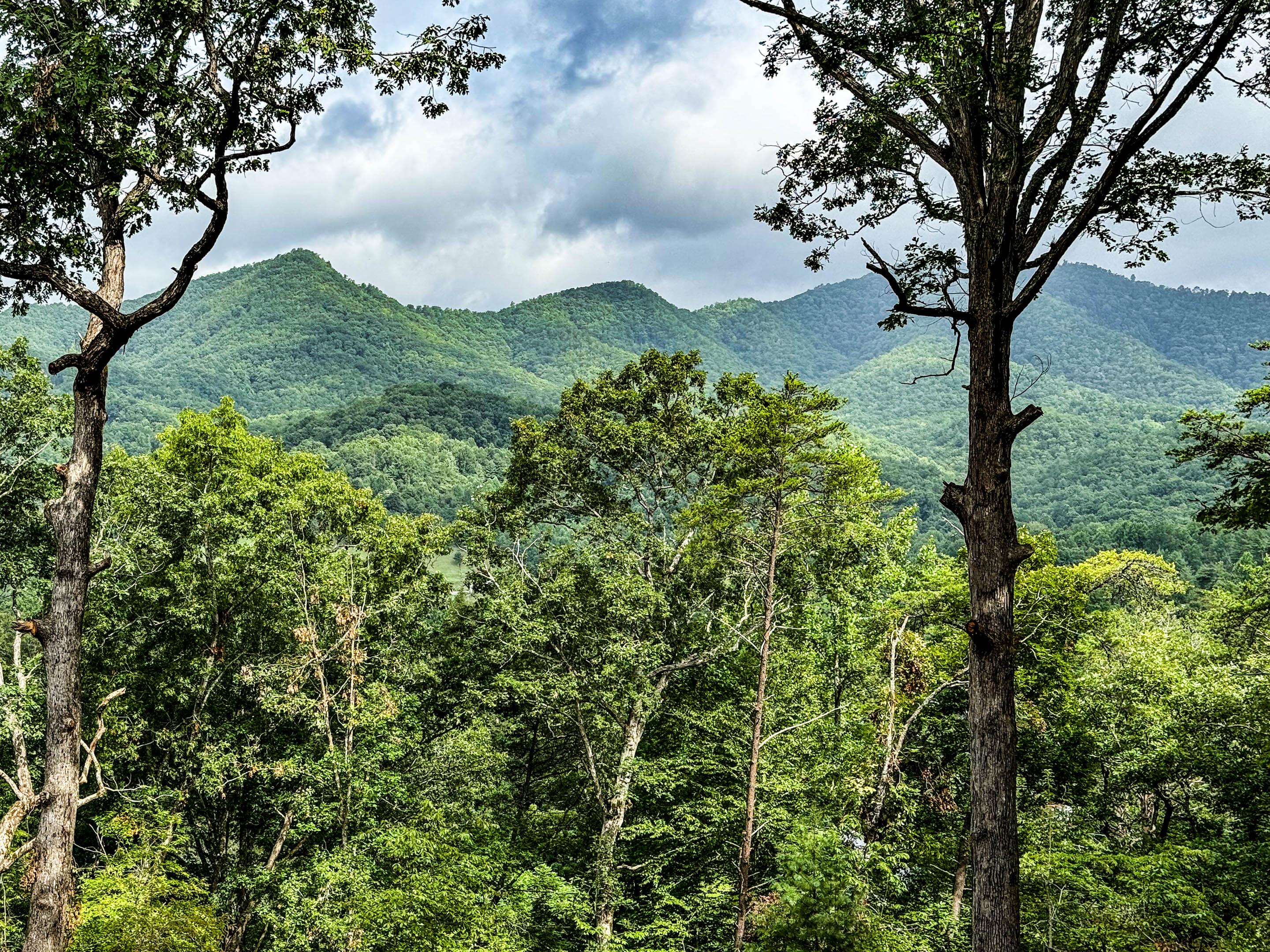 The nice view of the Smokies!