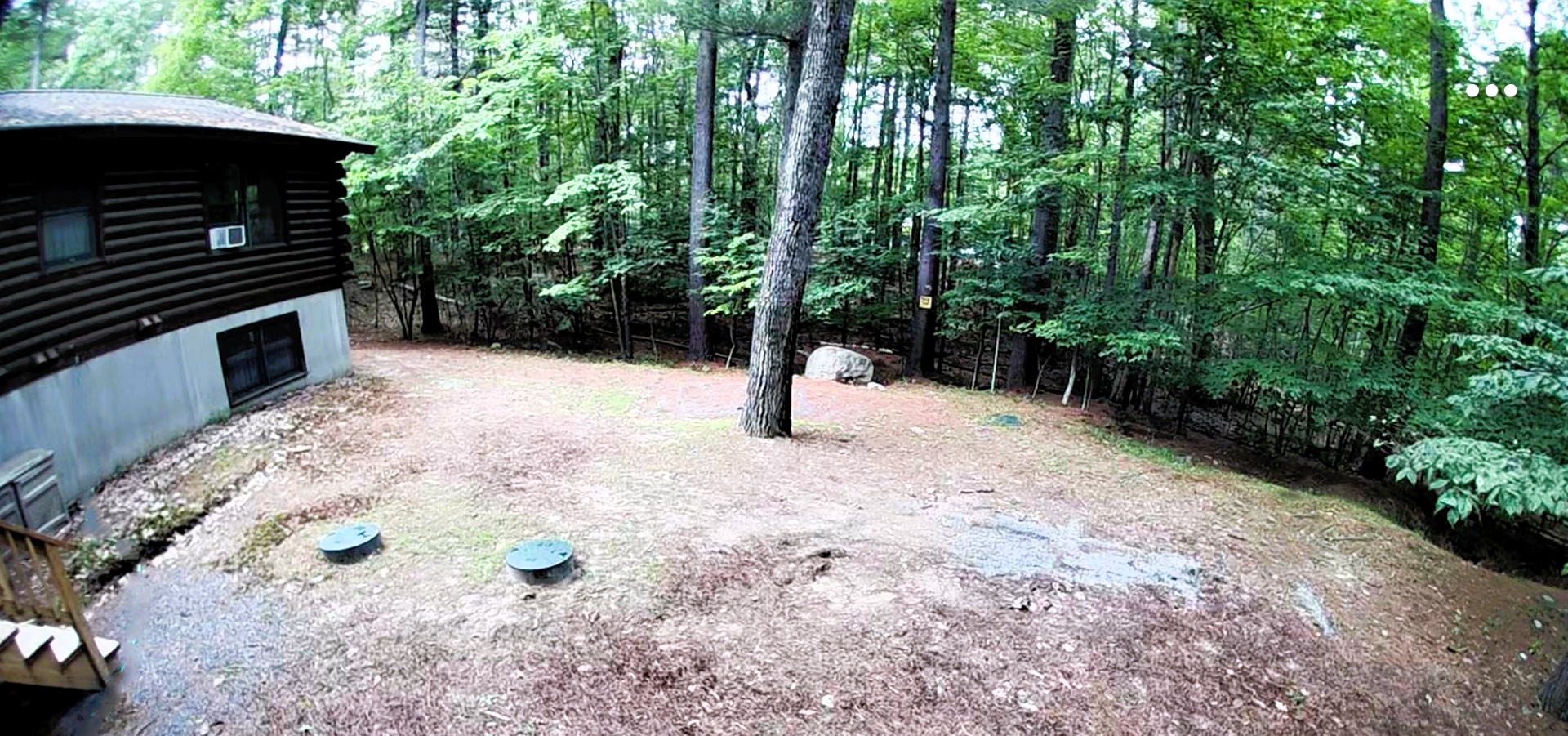 Spacious, level backyard