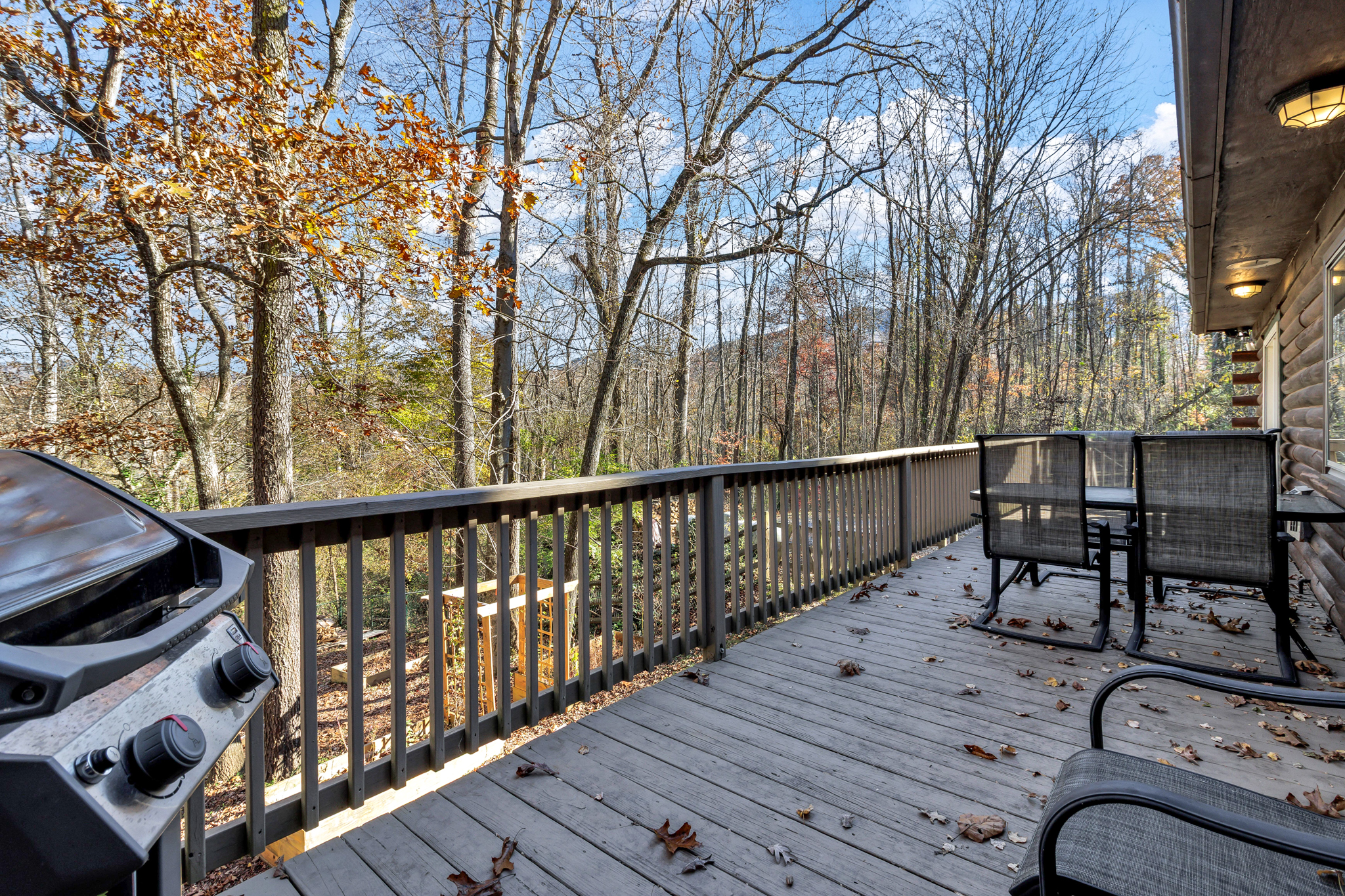 Outdoor dining on Back Deck