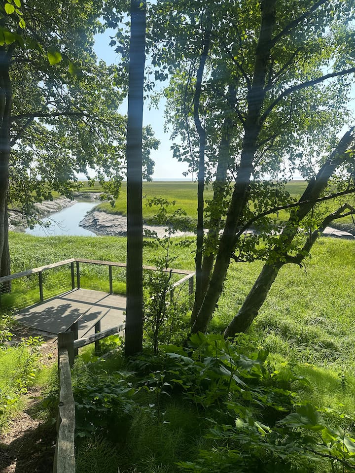 Our neighborhood has a nature trail where moose and bald eagles can often be found.