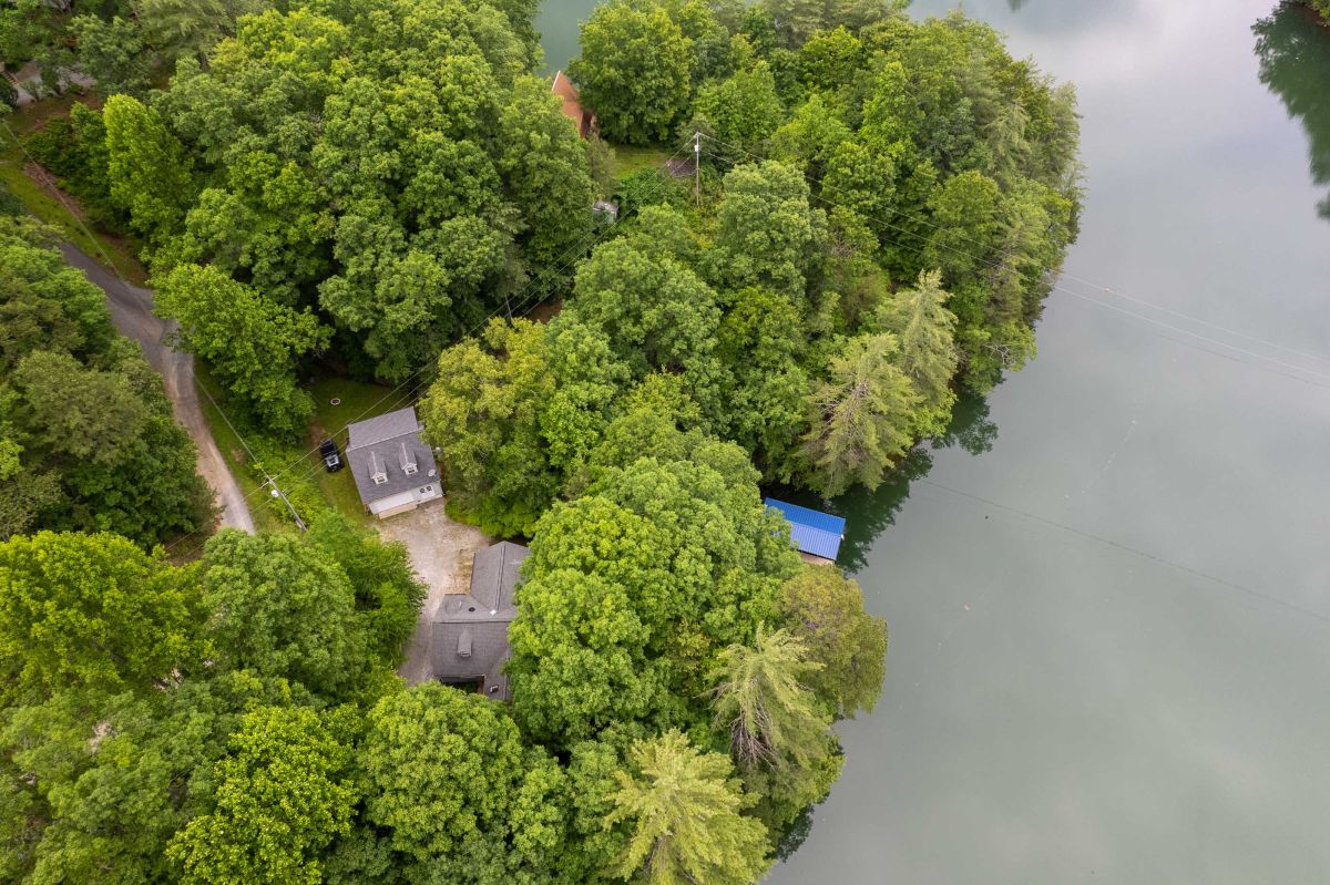 Exterior Retreat: Nestled in nature, unwind by the serene waters and lush greenery all around!

