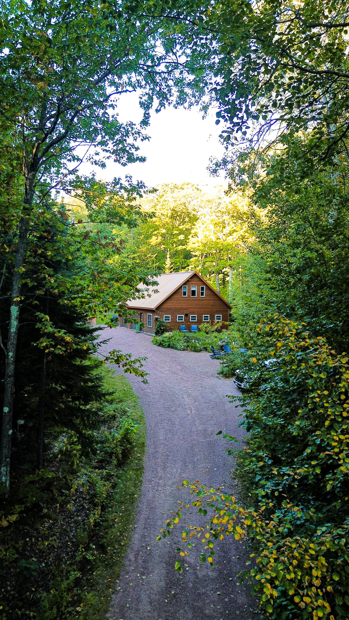 Rock Garden Cottage from the arrival up the driveway woods surrounding 