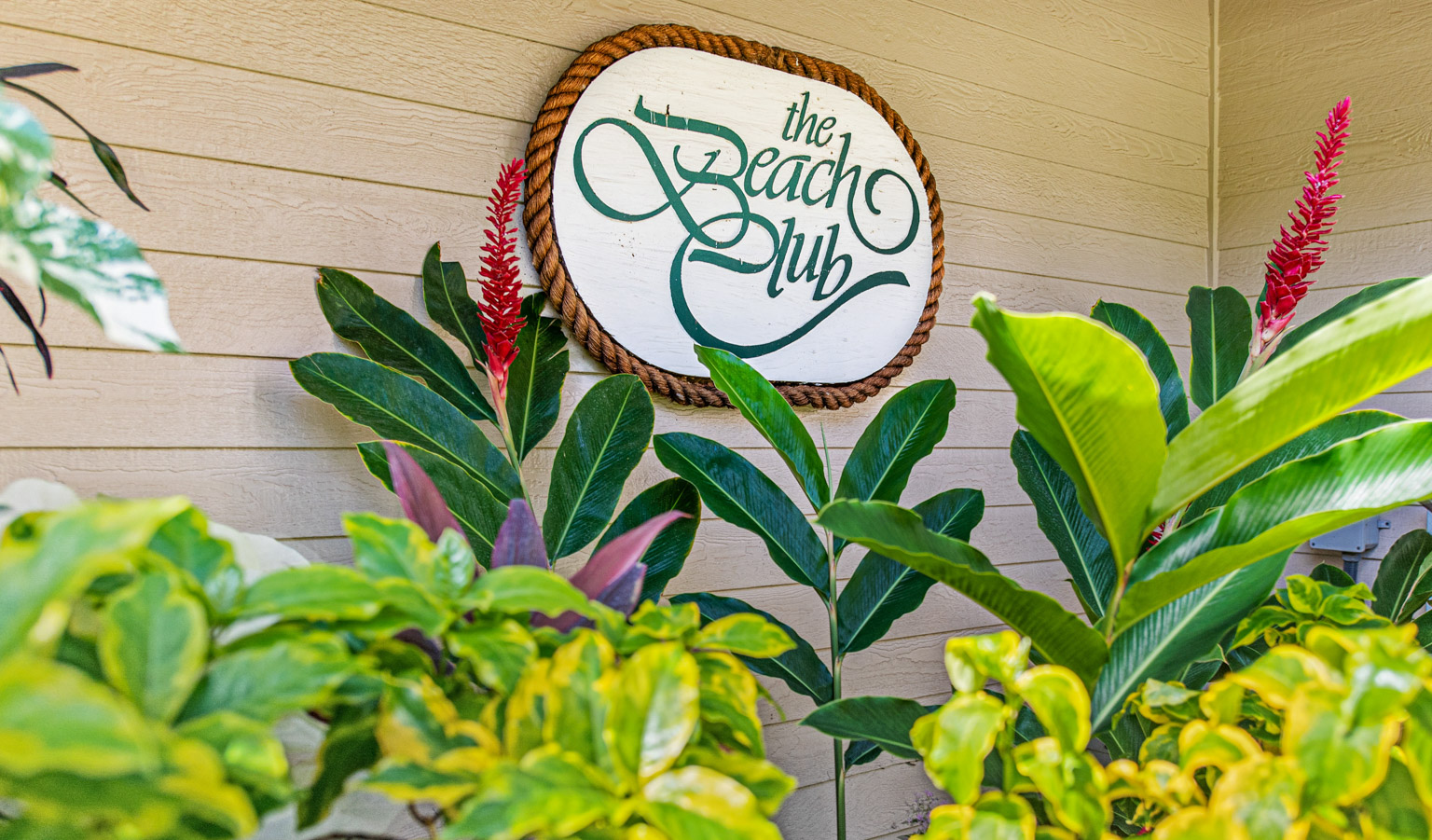 The Beach Club restaurant