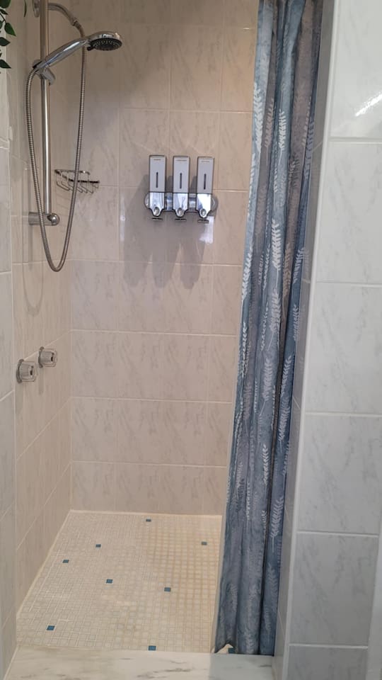 Shower with hand held massage shower head