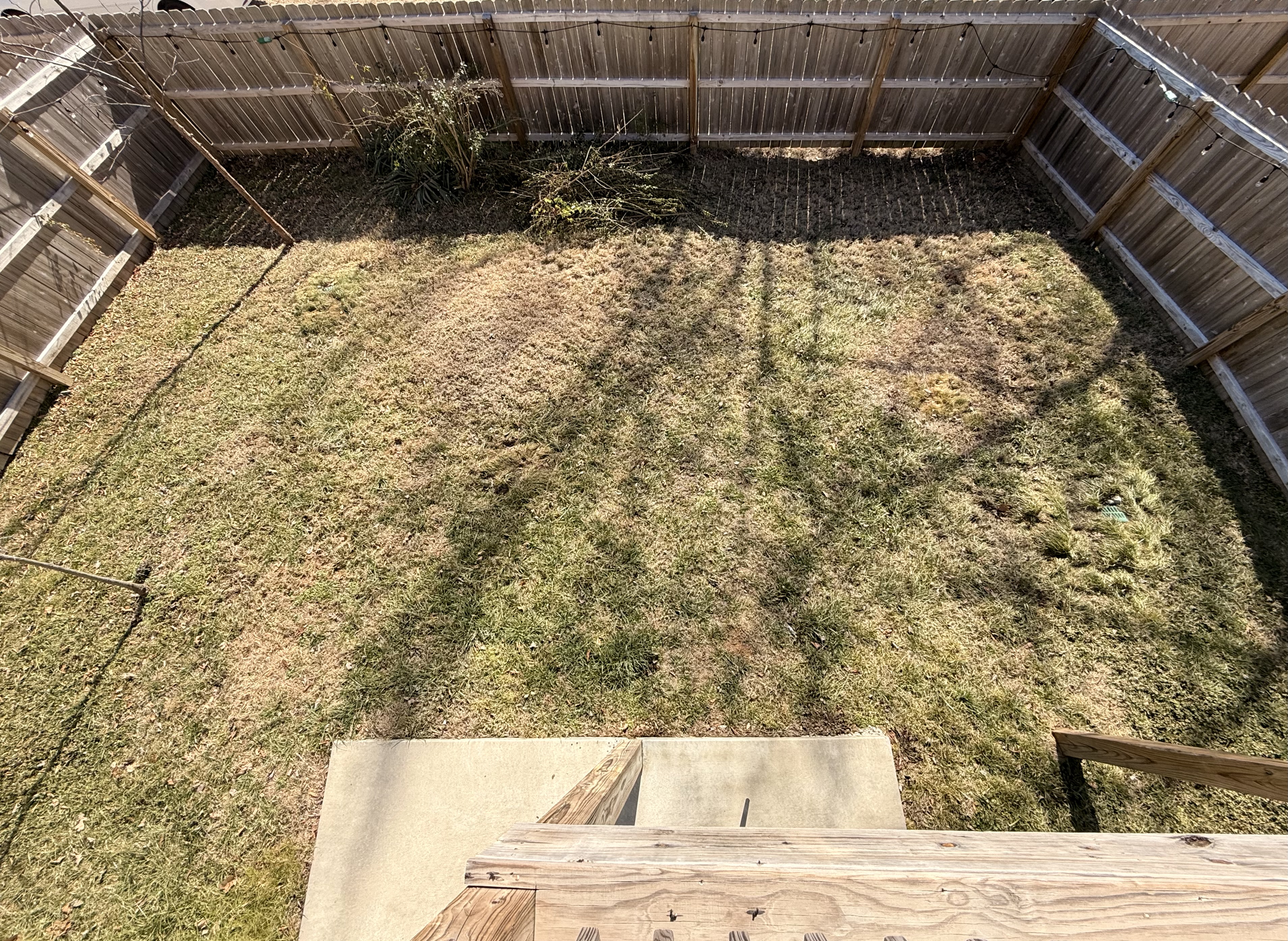 Fenced backyard with gate