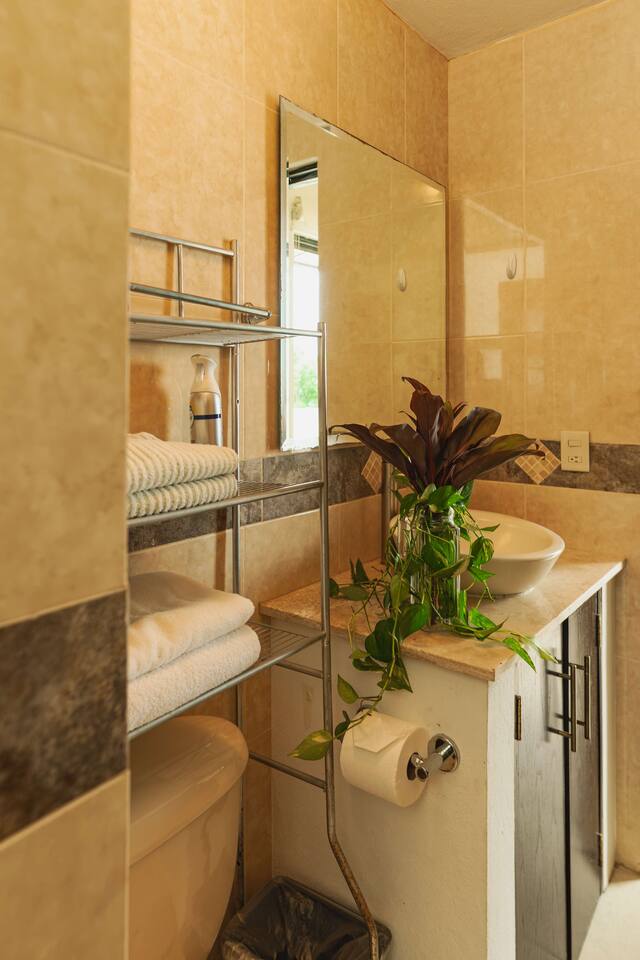 Bathroom - Master suite 