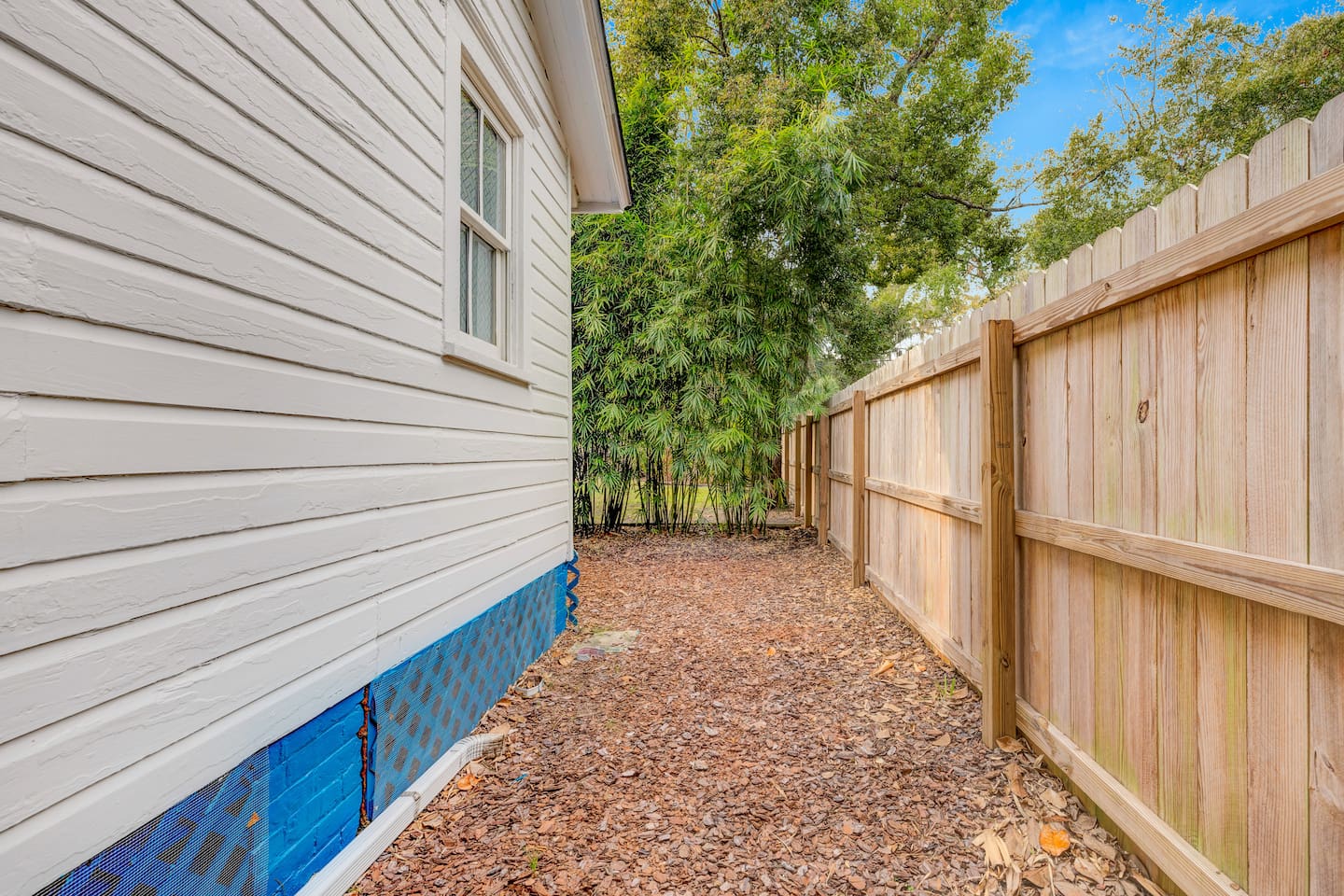 Backyard