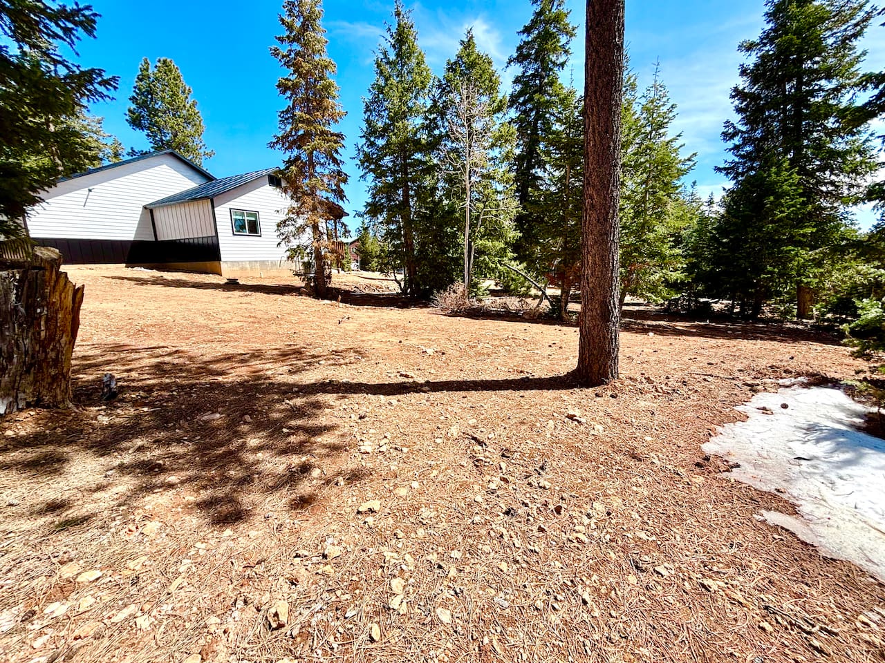 Set on a half-acre surrounded by pines, our cabin gives you room to breathe, relax, and enjoy the outdoors—whether you’re sipping coffee under the trees or stargazing by the fire at night.