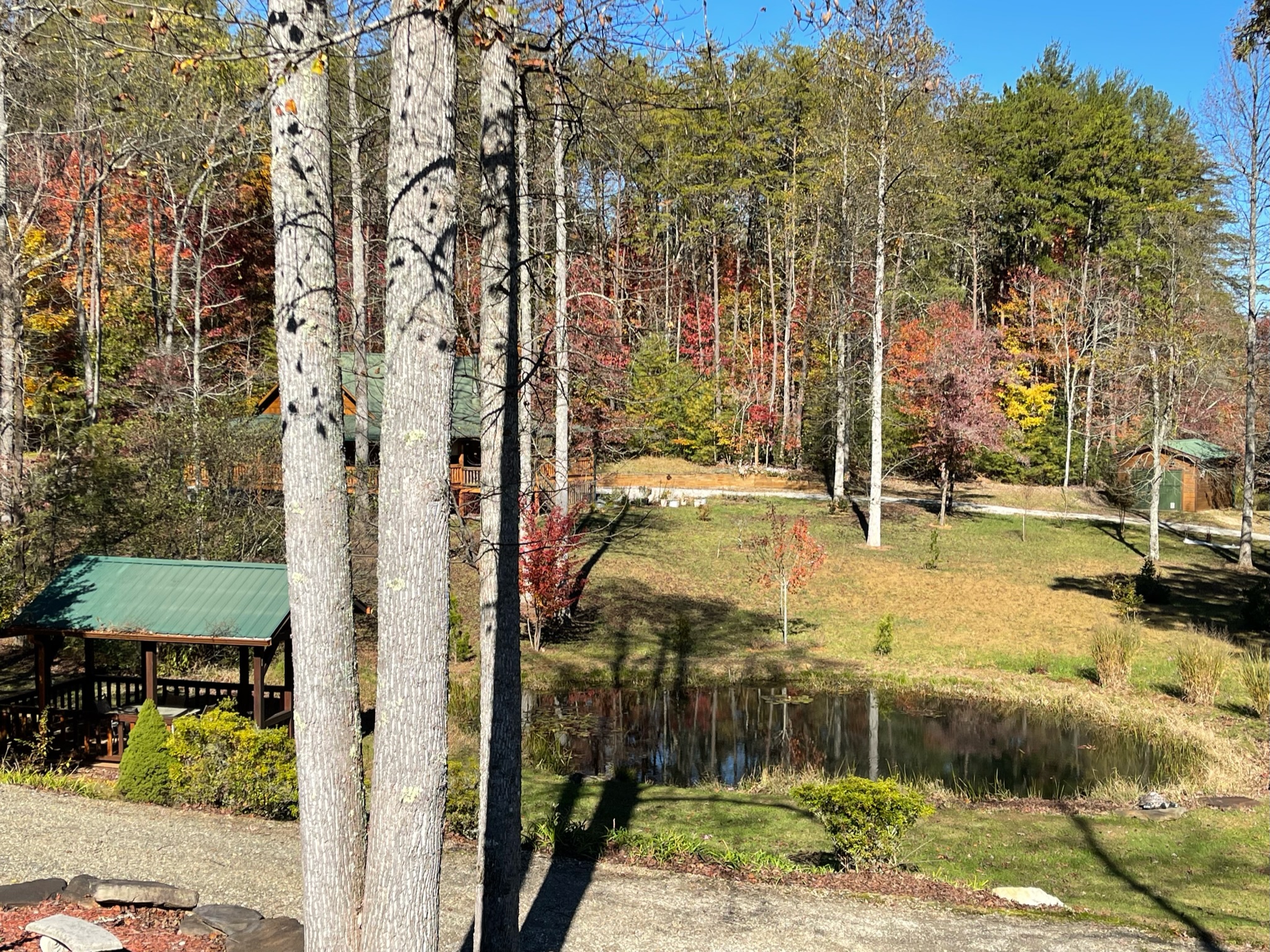 View from kitchen window