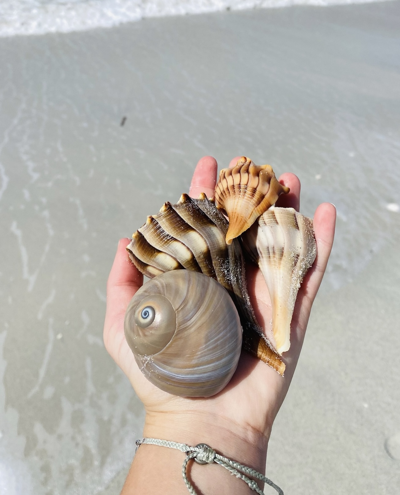A beachcomber's paradise! Endless treasures to collect