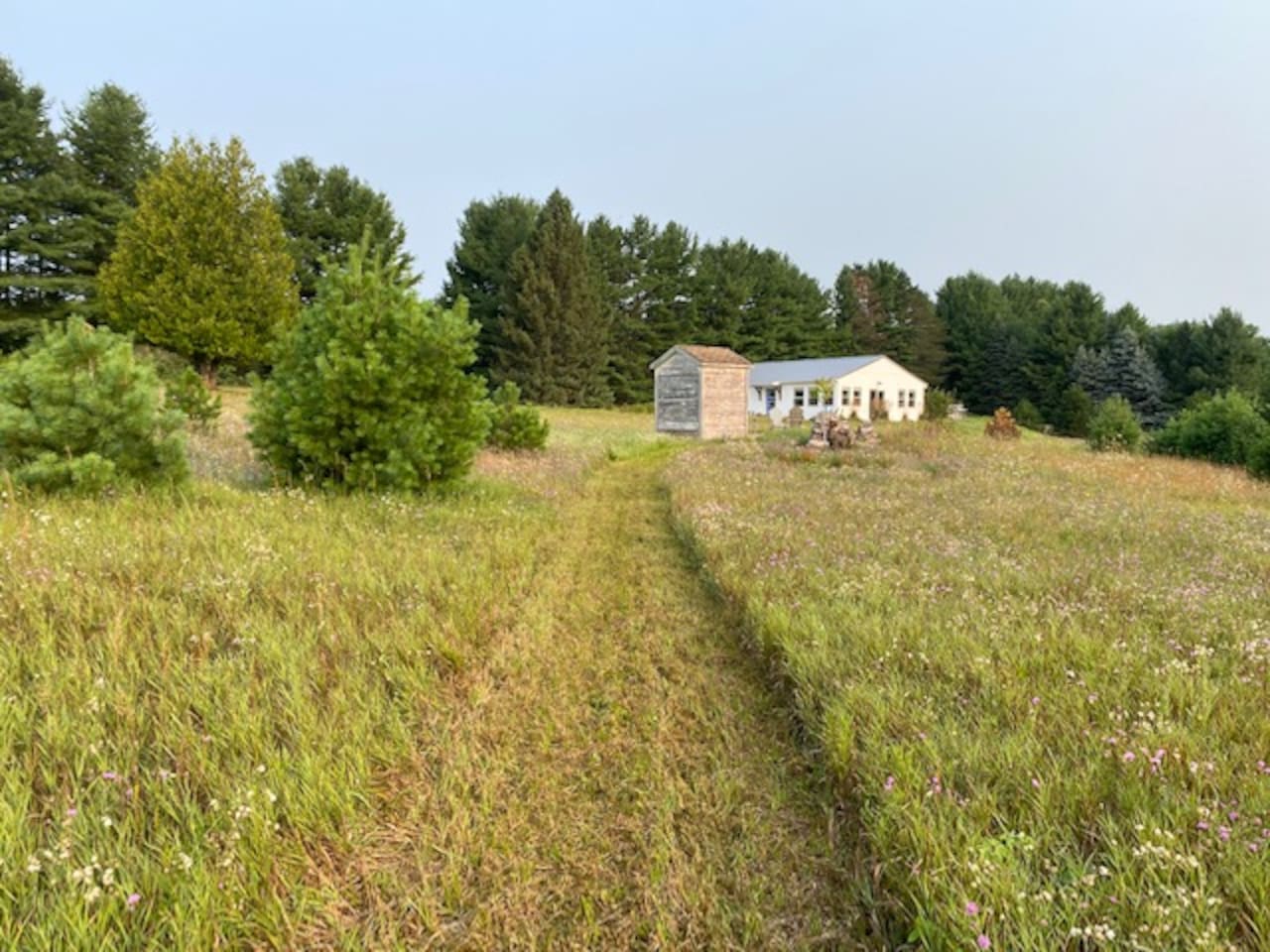 We keep a few walking paths mowed for easy exploration!