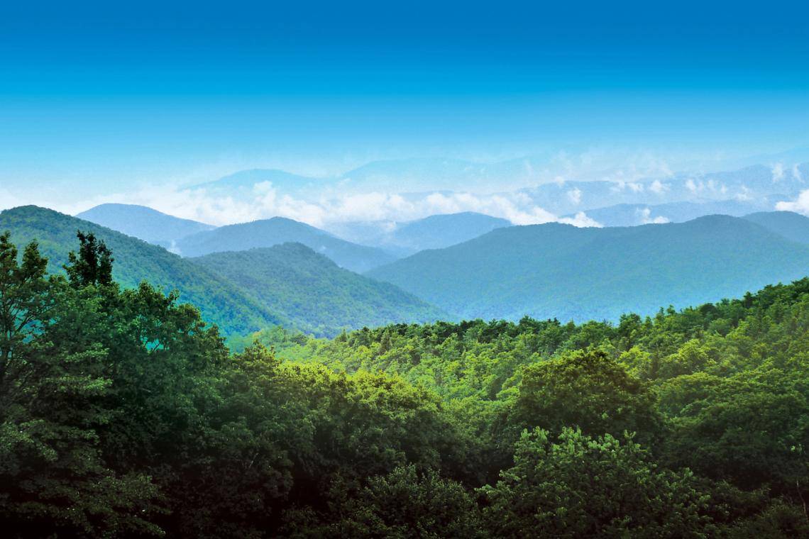 why-blue-ridge-georgia-is-a-great-place-to-visit-southern-charm