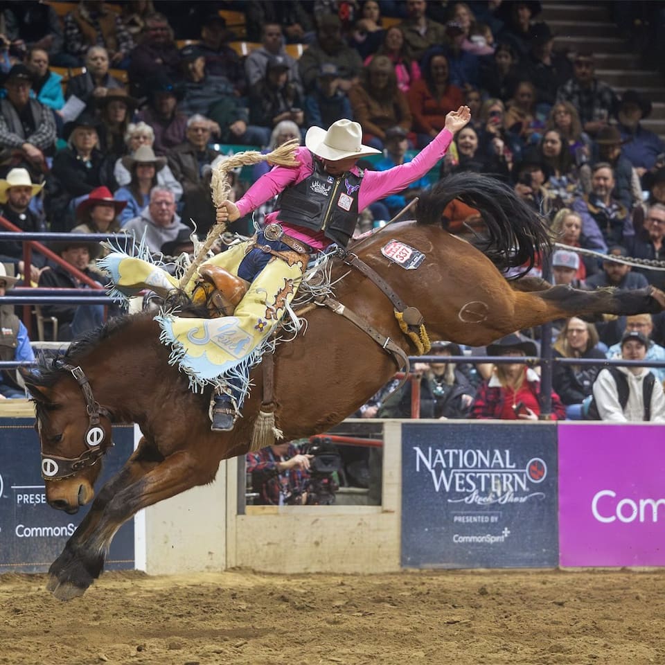 National Western Stockshow