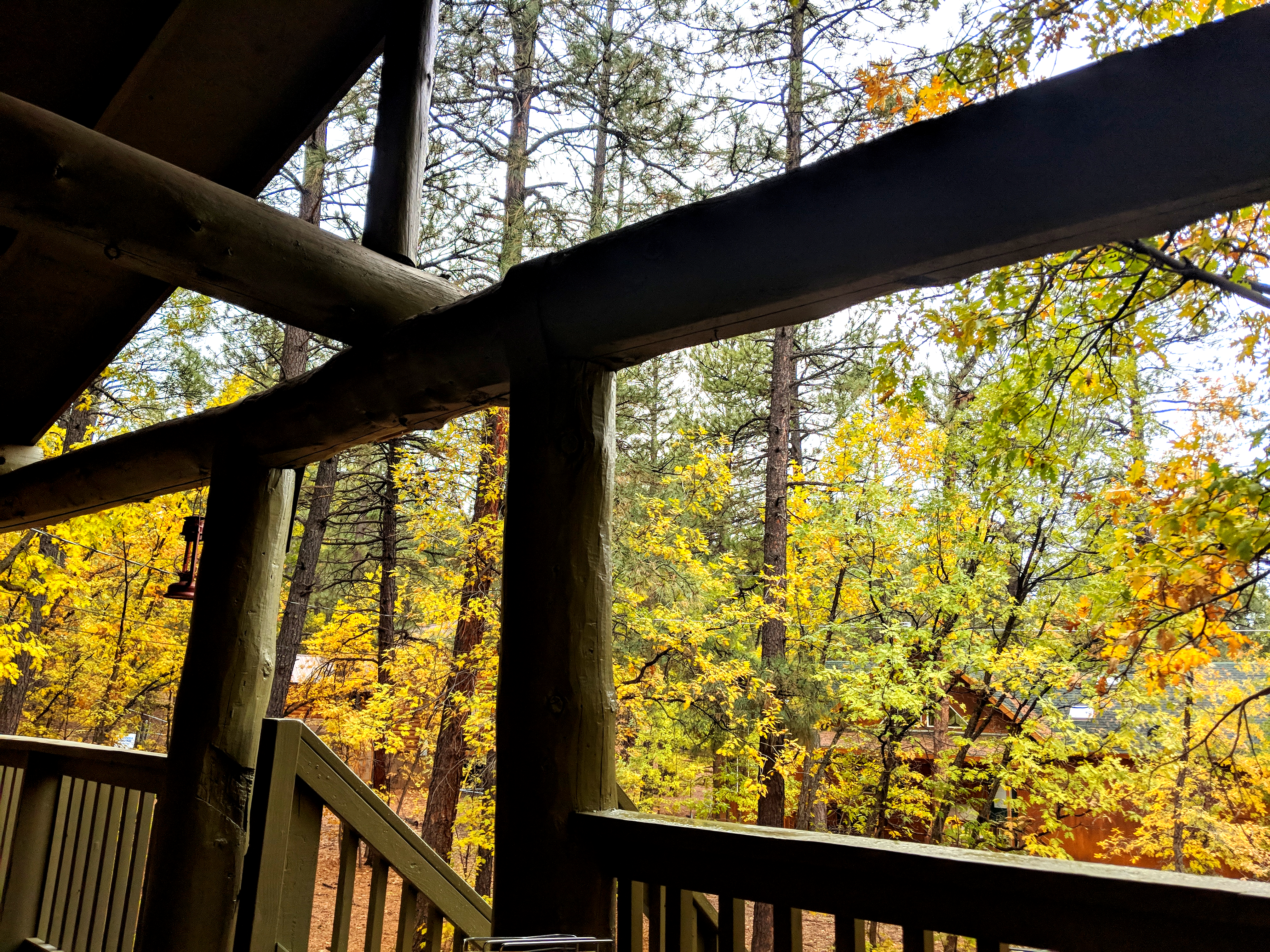 View 6