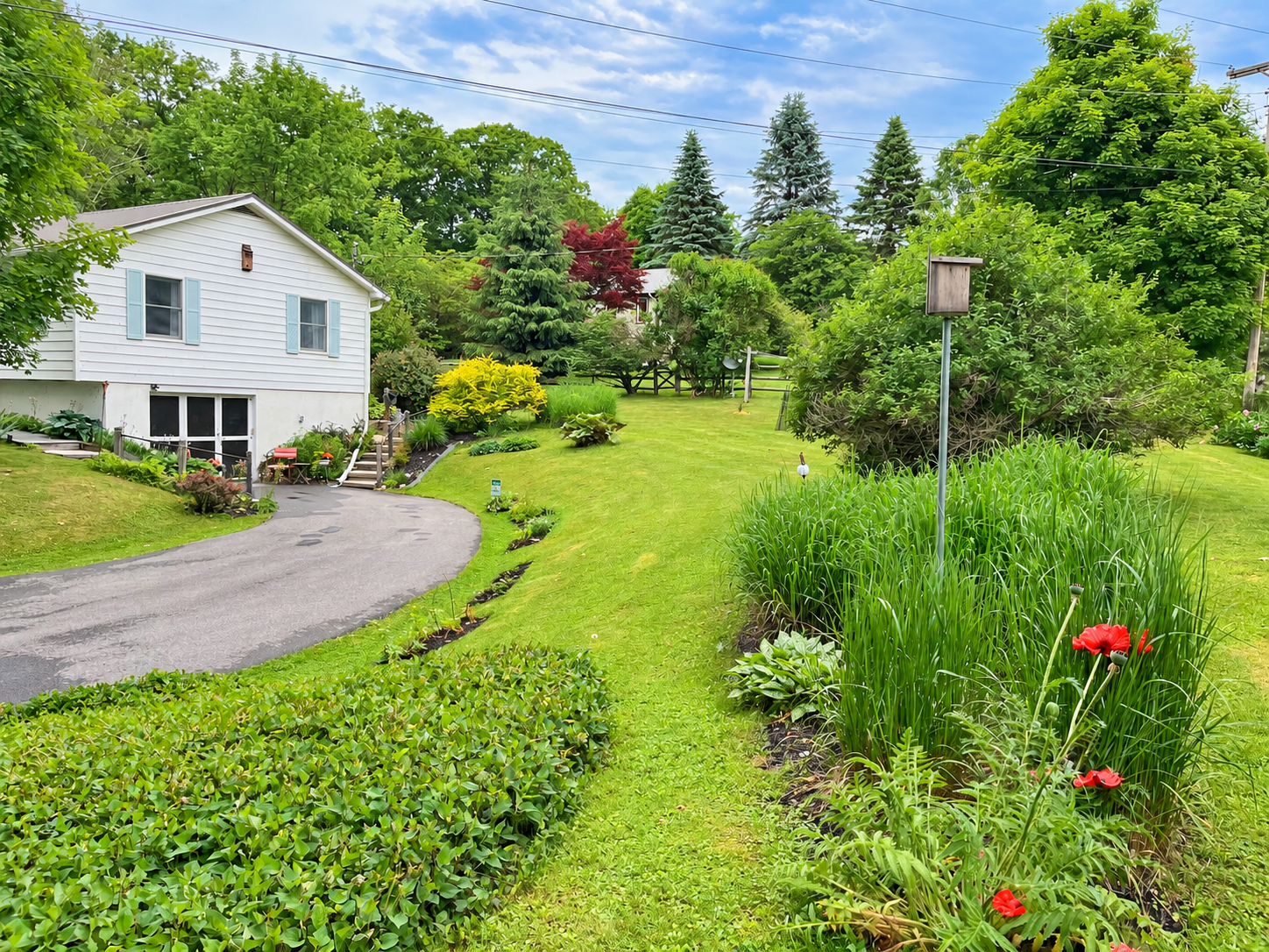 Cottage driveway and landscaping.