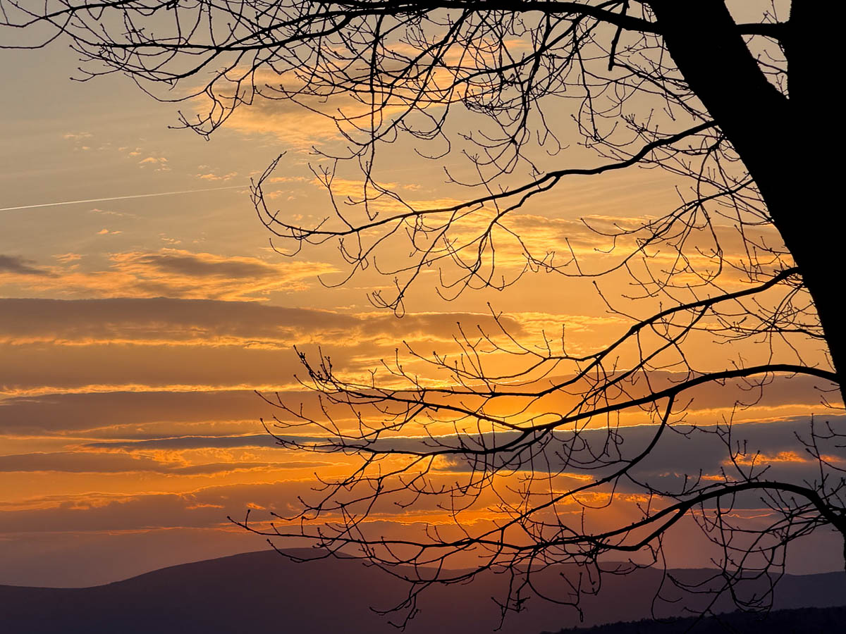 Amber sunset through bare branches over Berkshires ridgeline &mdash; Sunset Falls New Marlborough