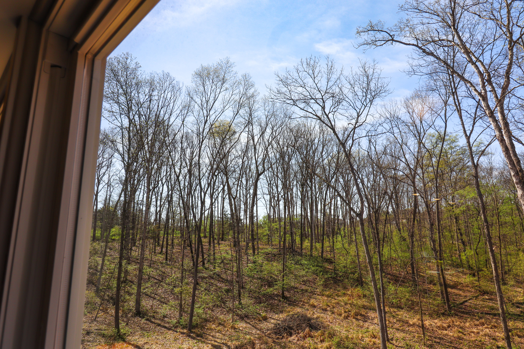 Tucked back in the woods-your own quiet retreat