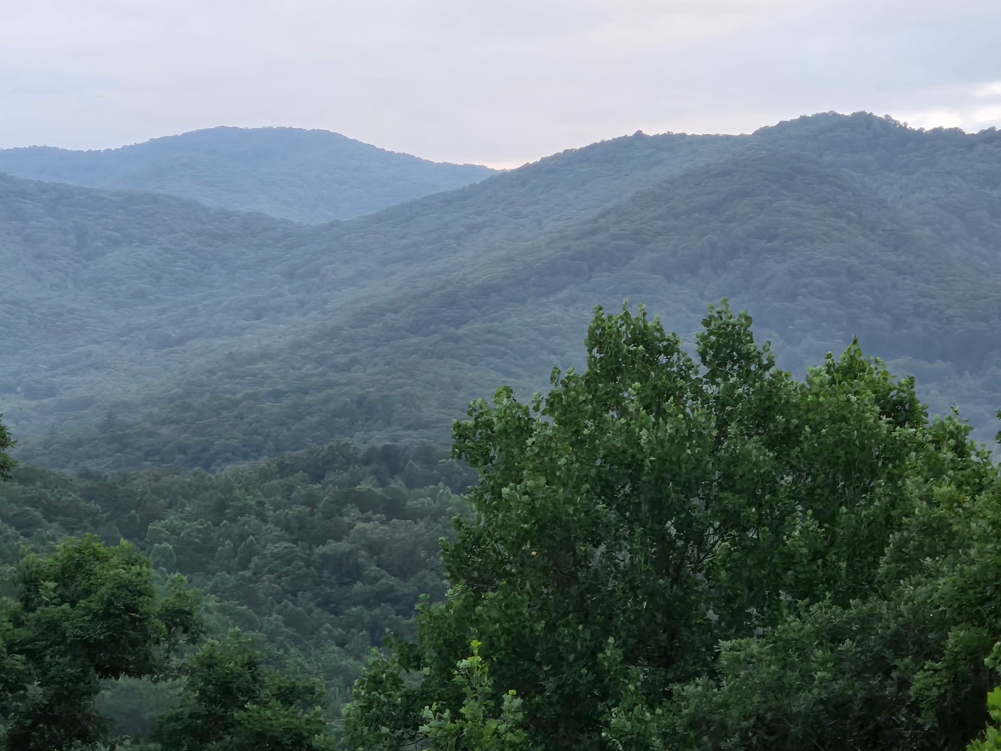 Stunning close up mountain view taken by one of our amazing guests