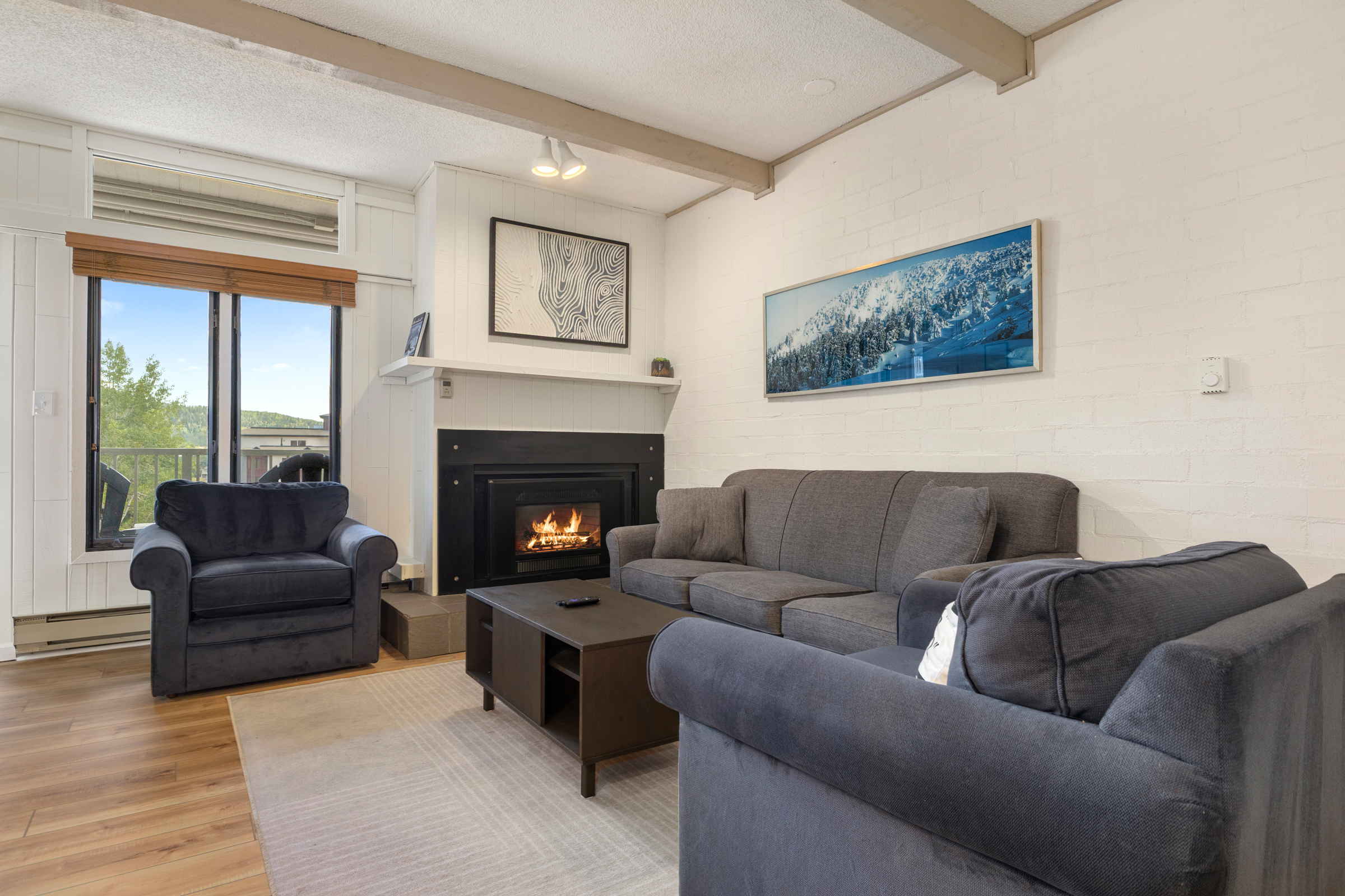 Fireplace | Living Room | Pullout Sofa (Queensize)