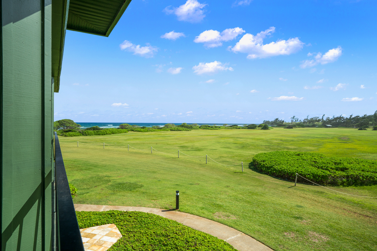 Rolling Green Landscape, Ocean Beyond