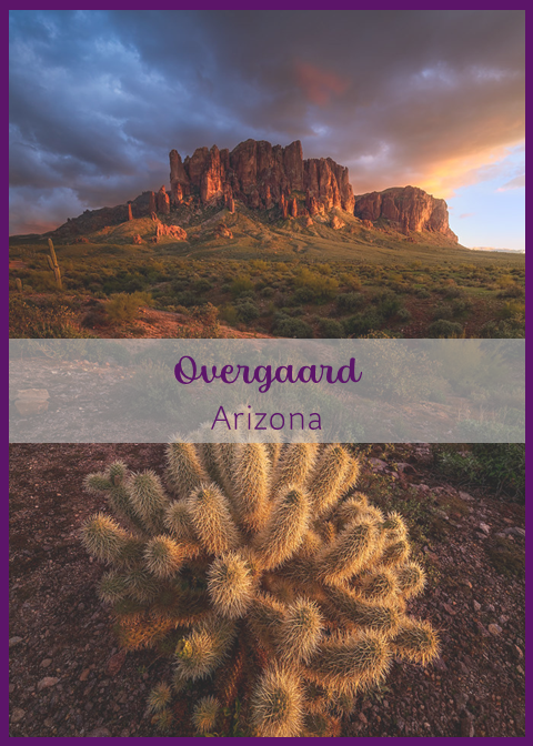 Tempe Vacation Rentals