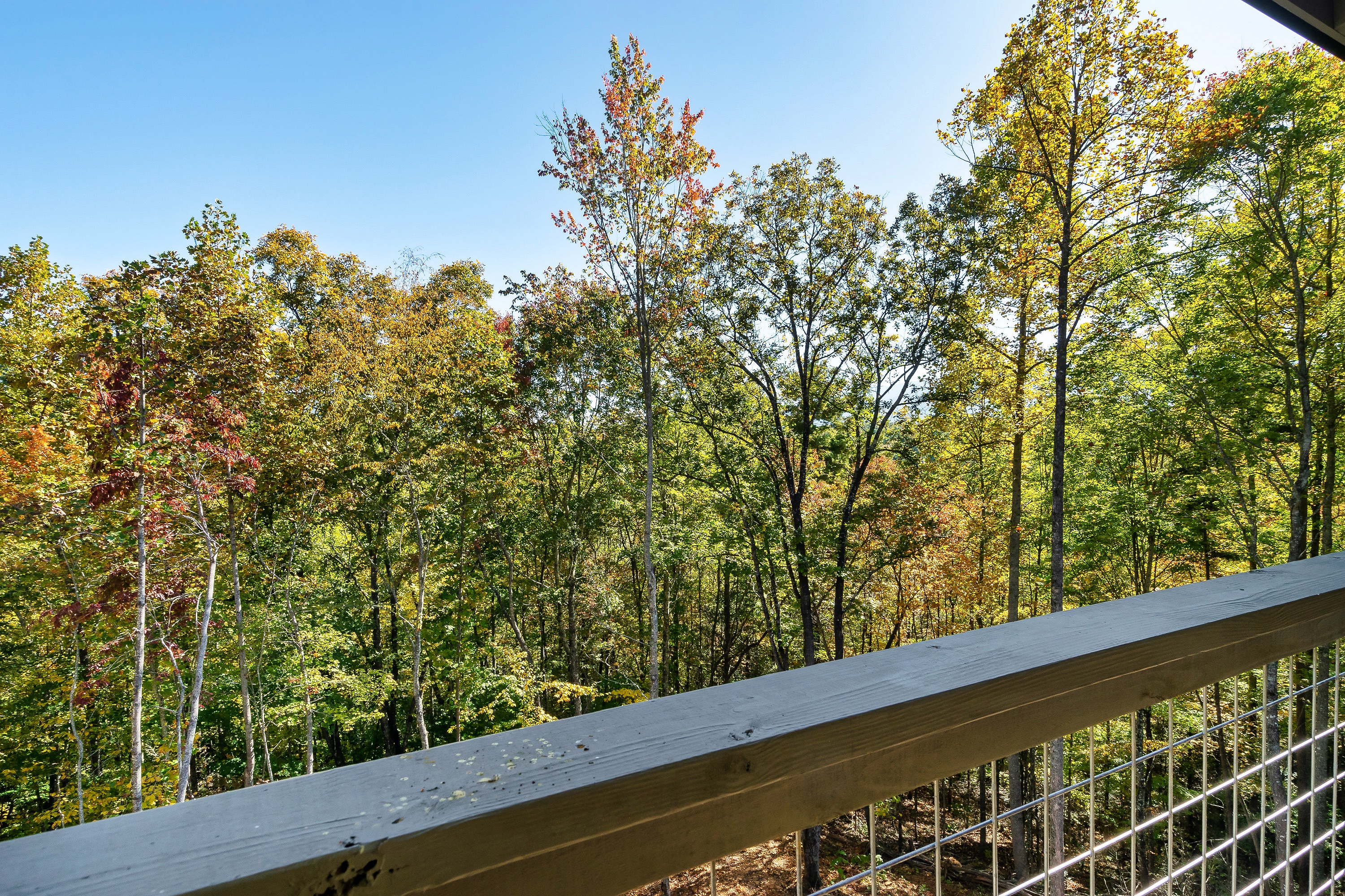 Private mountanin cabin surrounded by trees