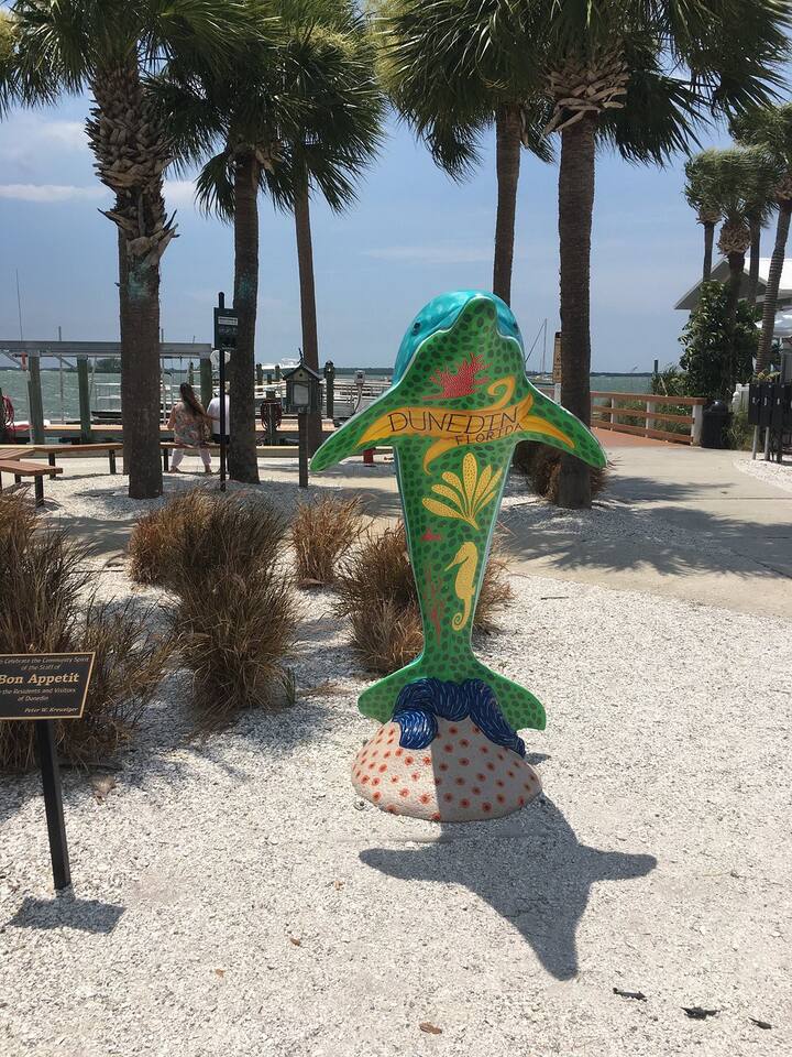 Dunedin beach
