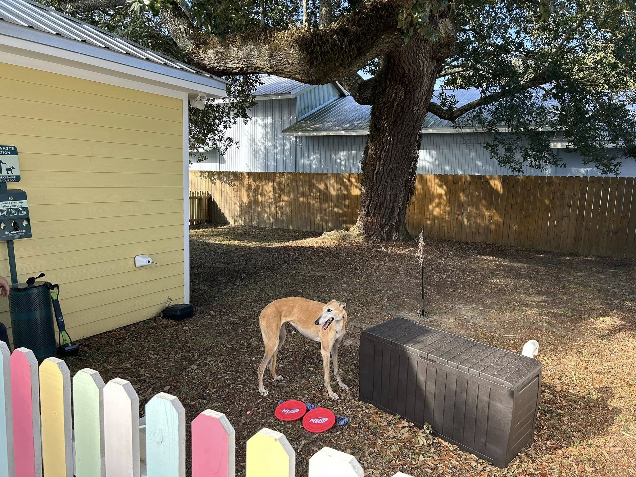 Pet Park for your pet animals. Toys included. Disinfected after every stay.