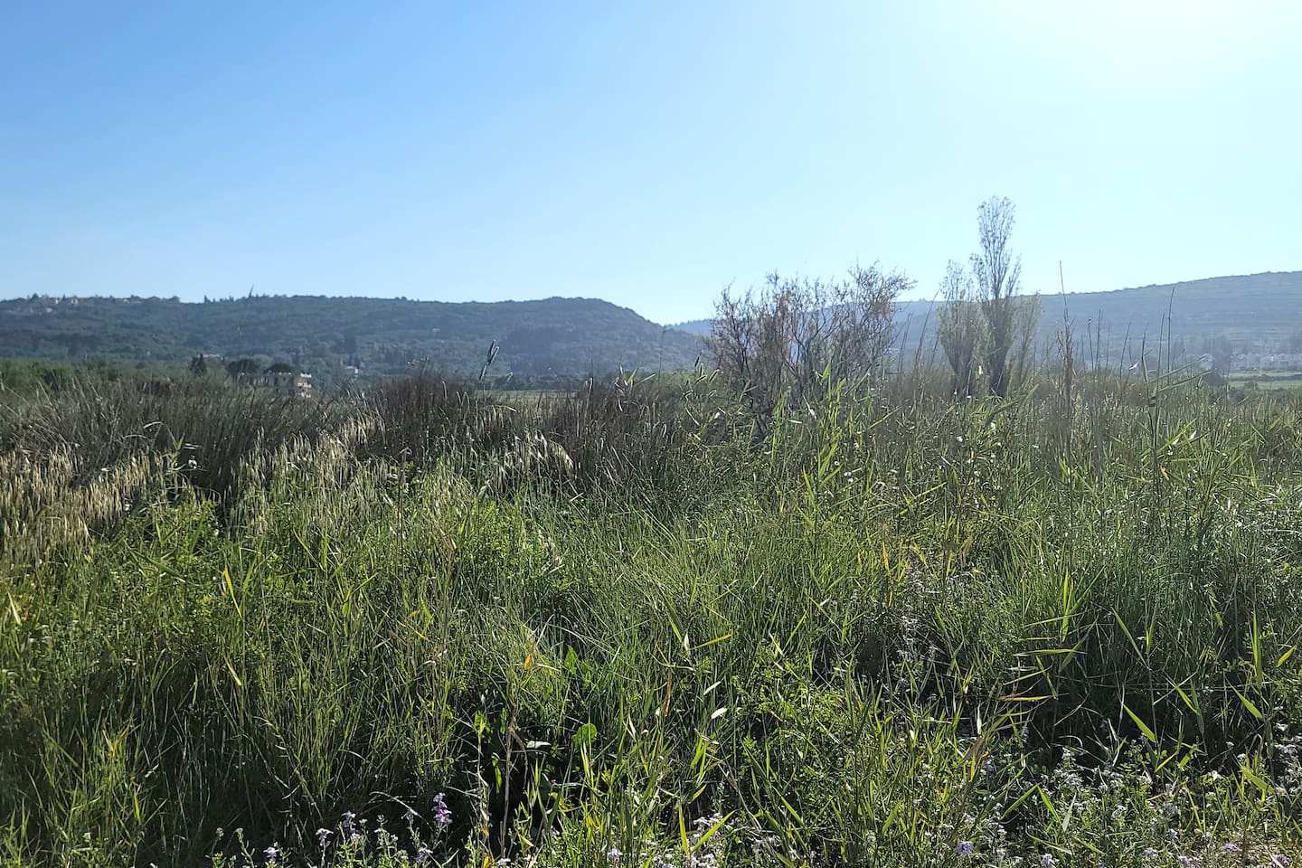 Beautiful area near the home, perfect for a morning walk