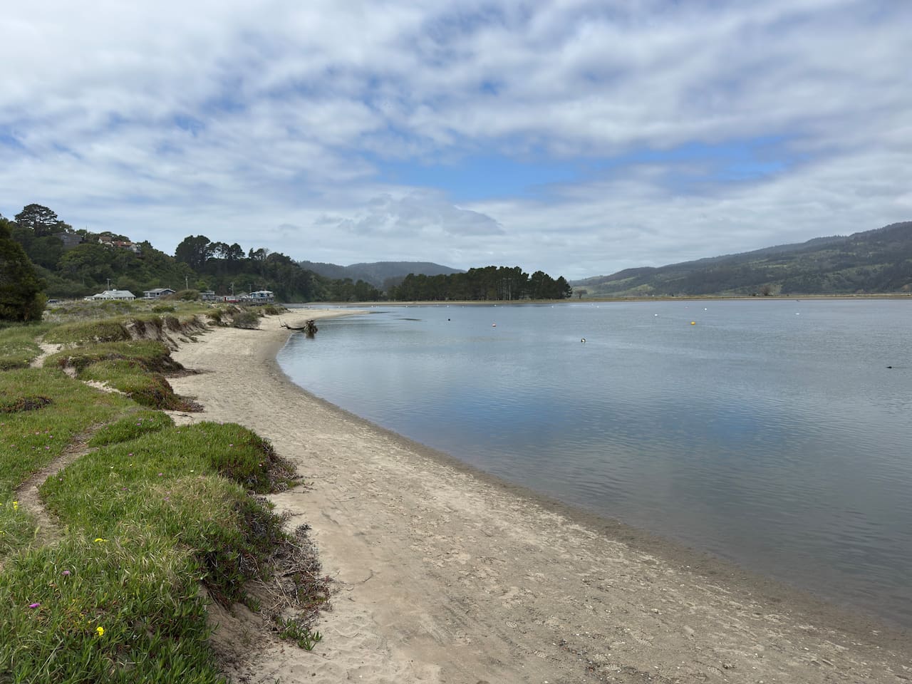 Quiet shoreline with calm waters and grassy edges.

