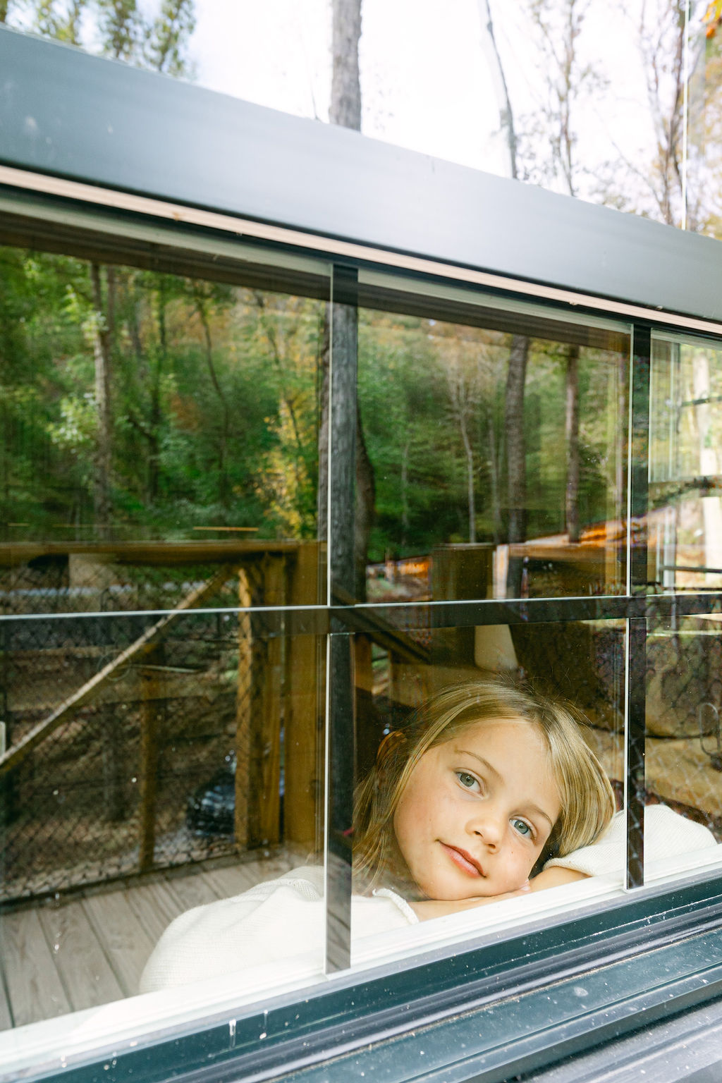 Watch nature through the windows